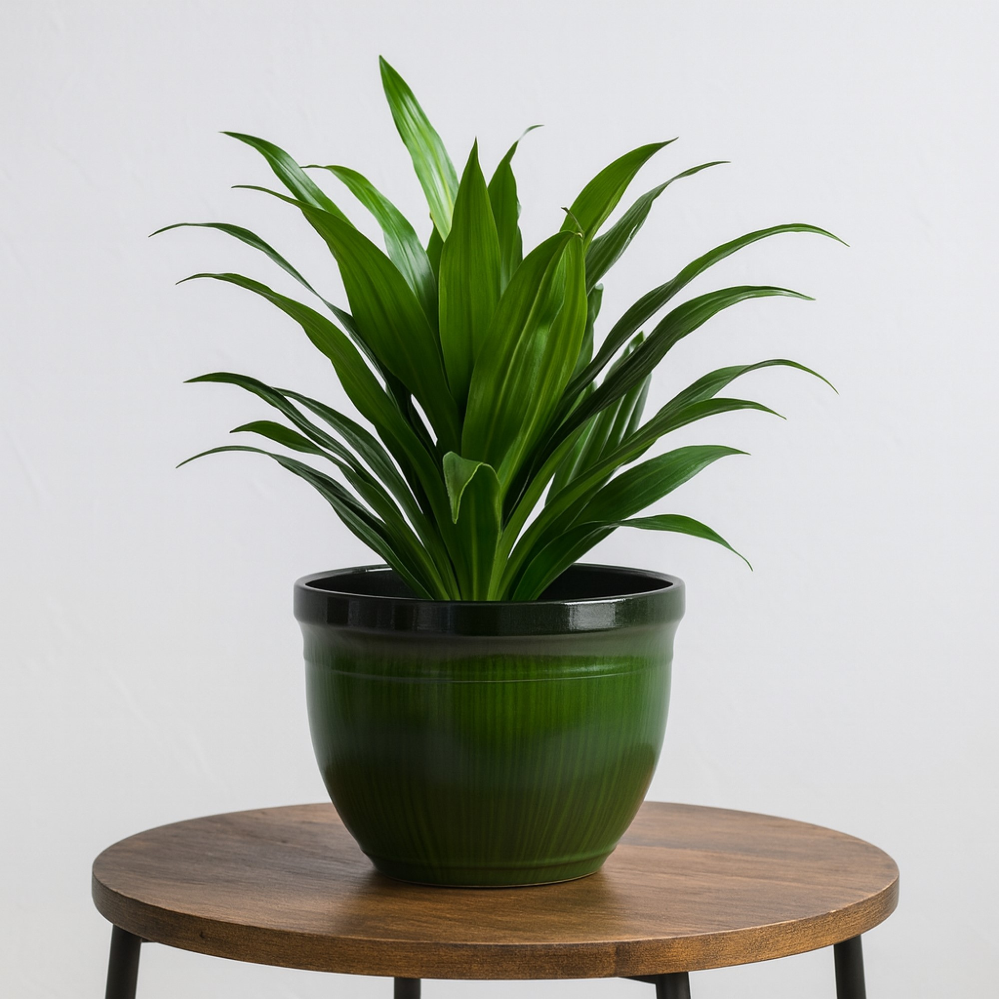 Gardener Select Plastic Madison Indoor/Outdoor Tapered Planter, 15"