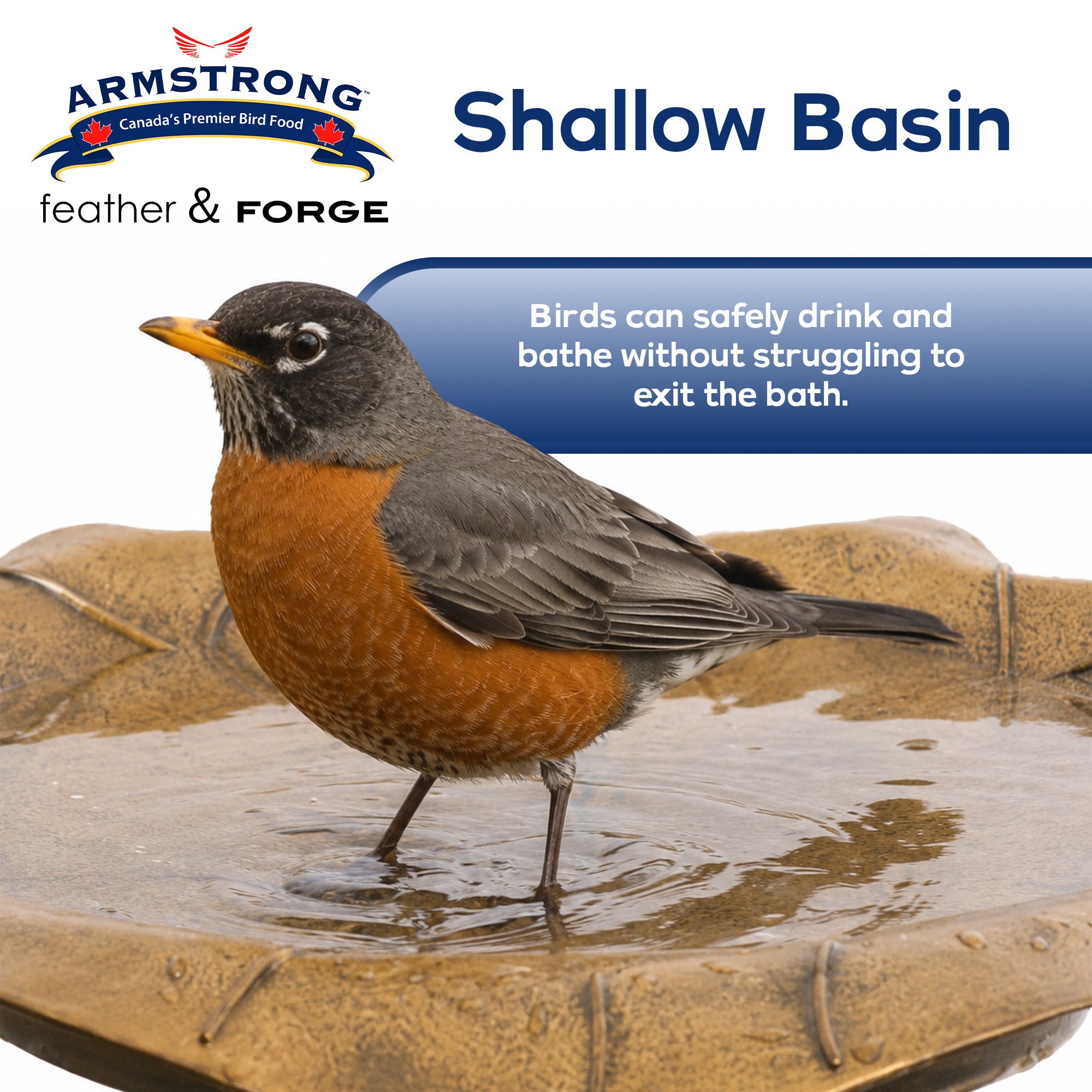 Armstrong Wild Bird Food Feather & Forge Elegant Polymer Bird Bath, Bronze, 27in