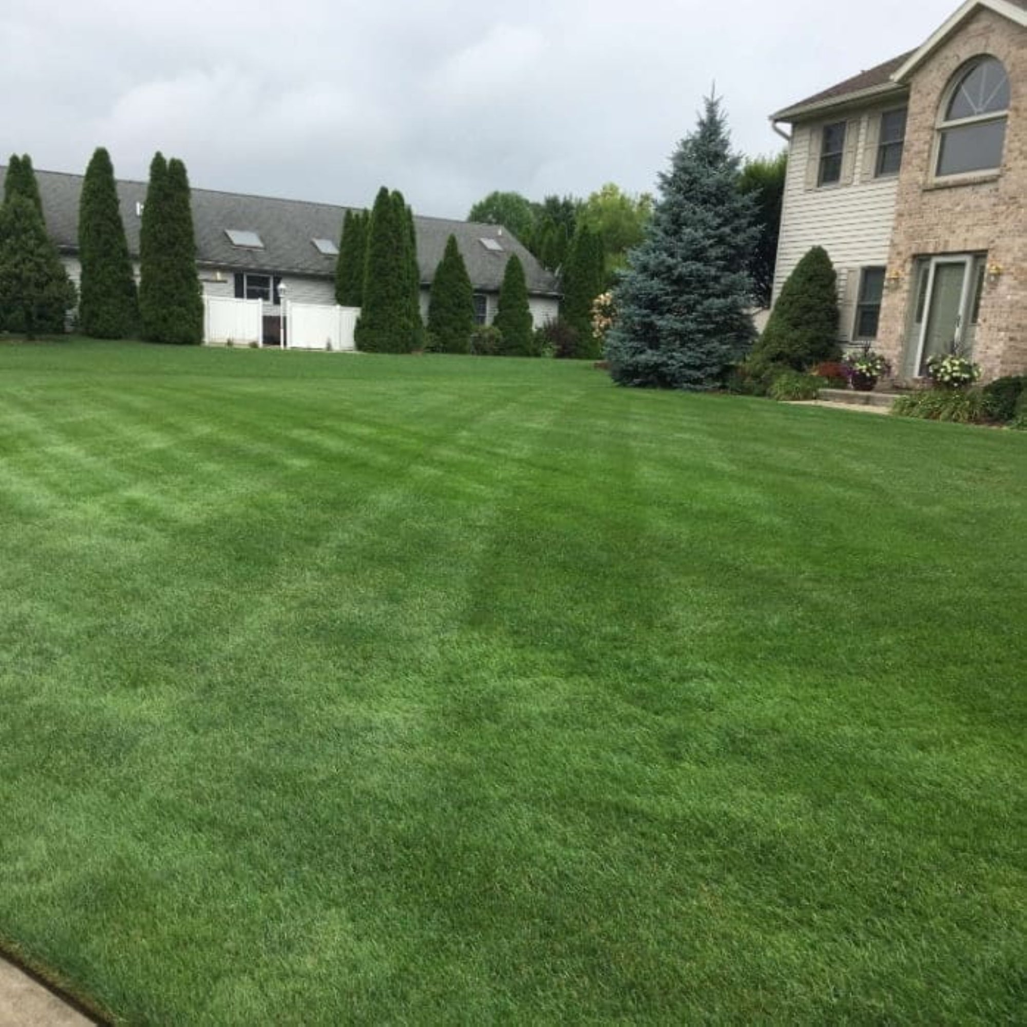 Jonathan Green Veri-Green Lawn Fertilizer and Weed Control Bundle, 5,000 sq ft
