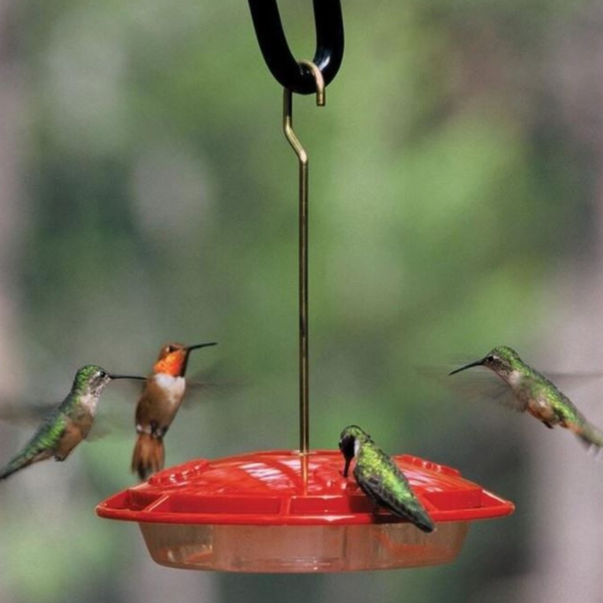 Aspects HummZinger Mini Hummingbird Feeder with 3 Feeding Ports, Red, 8oz