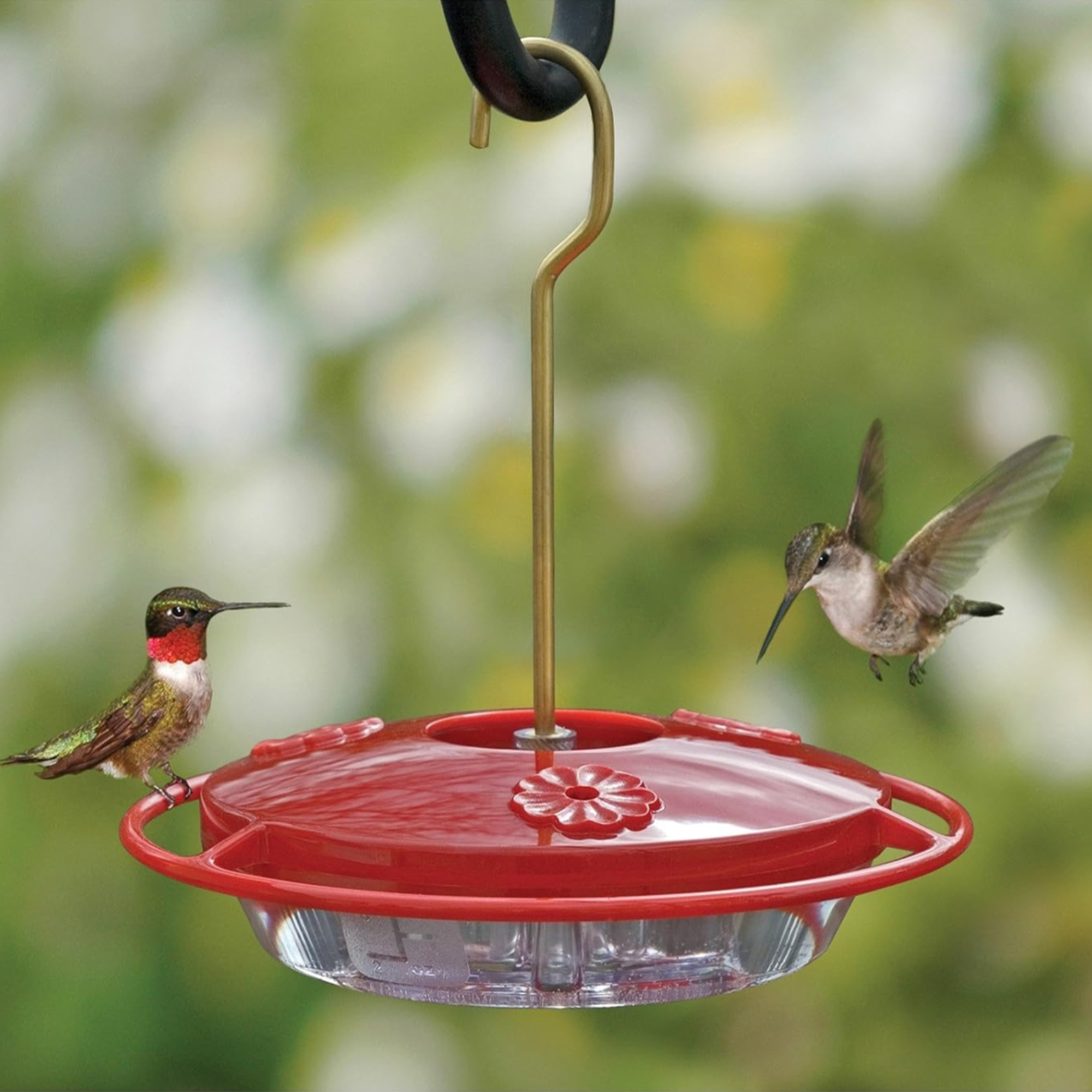 Aspects HummZinger Mini Hummingbird Feeder with 3 Feeding Ports, Red, 8oz
