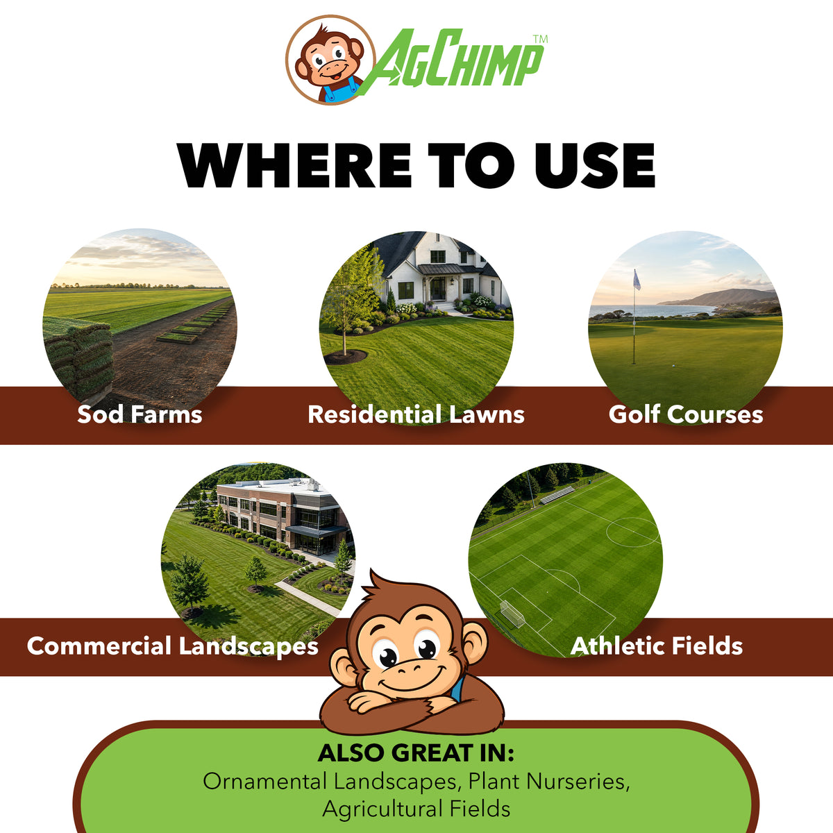 AgChimp 80-20 Non-Ionic Premium Surfactant, 1 pint