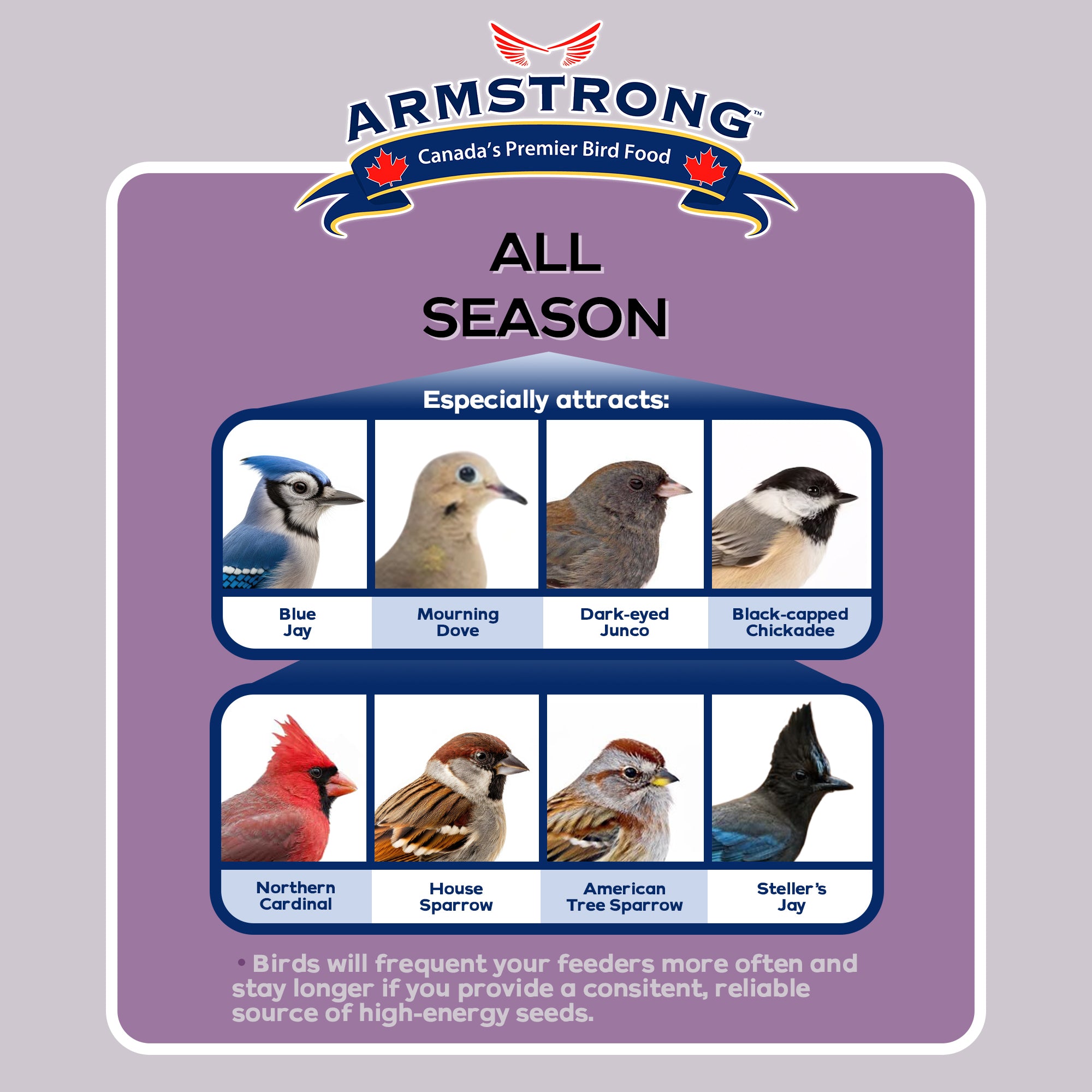 Armstrong Wild Bird Food All Season Bird Seed Blend