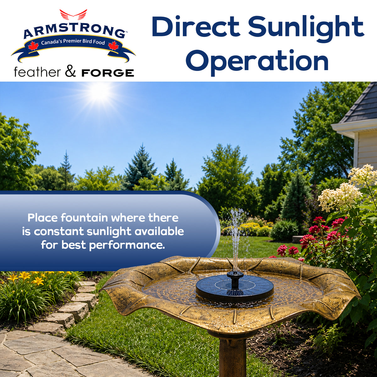 Armstrong Wild Bird Food Feather & Forge Solar-Powered Fountain Accessory, Black
