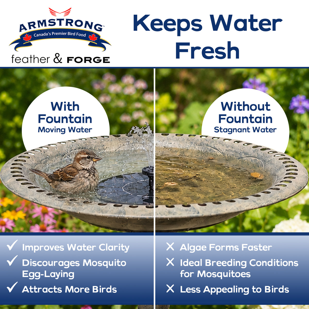 Armstrong Wild Bird Food Feather & Forge Solar-Powered Fountain Accessory, Black