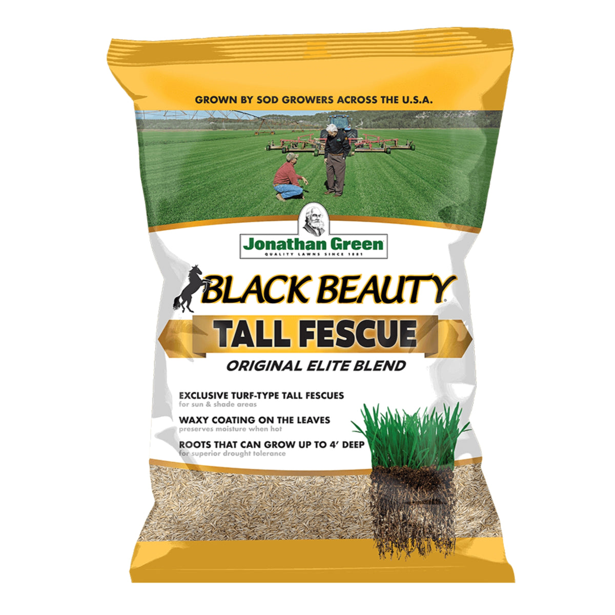 Jonathan Green Black Beauty Original Tall Fescue Grass Seed Blend