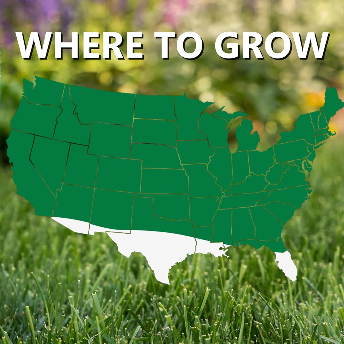 Jonathan Green Touch-Up Fast-Germinating Elite Perennial Ryegrass Blend
