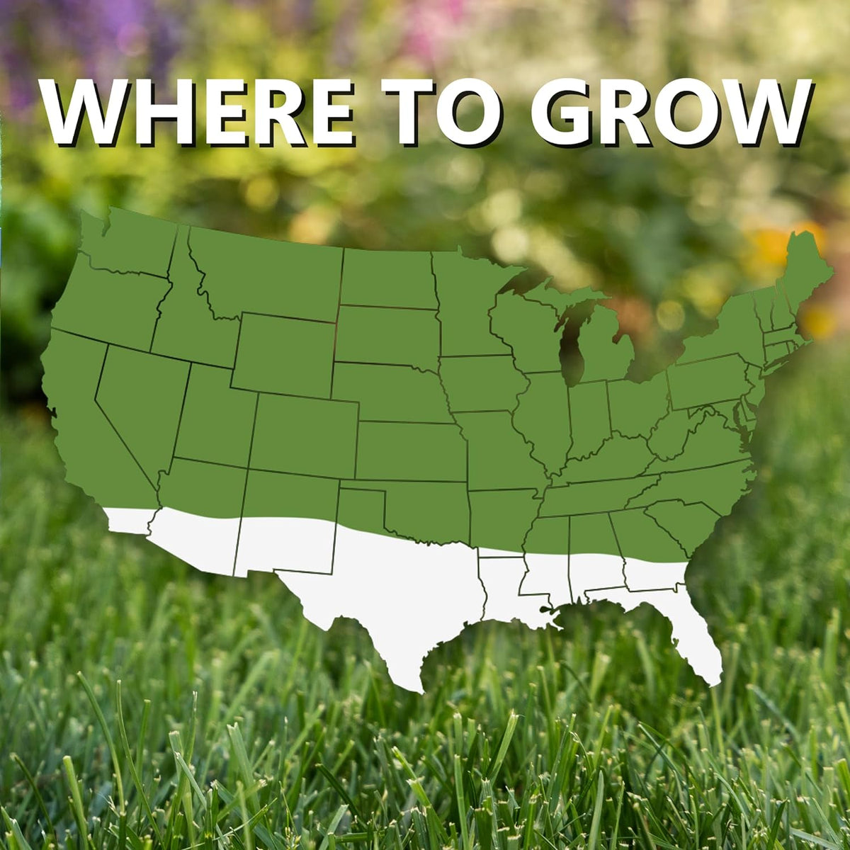 Jonathan Green Fast Grow Rapidly Establishing Grass Seed Mixture