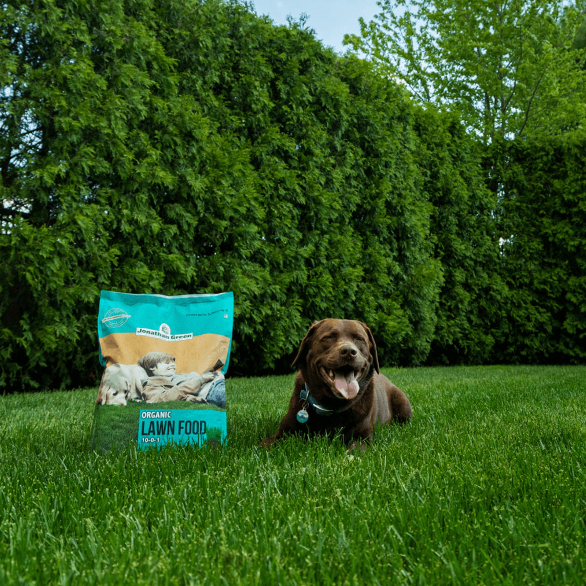 Jonathan Green 10-0-1 Organic Lawn Food, 15.5lb, Covers 5,000 sq ft