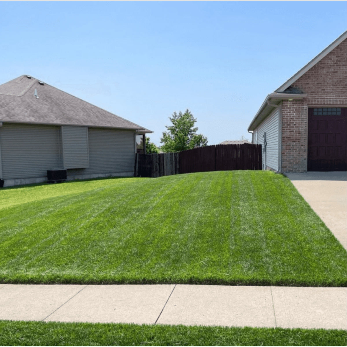 Jonathan Green Natural Grub & Insect Control for Lawns, 10lb, Covers 5,000 sq ft