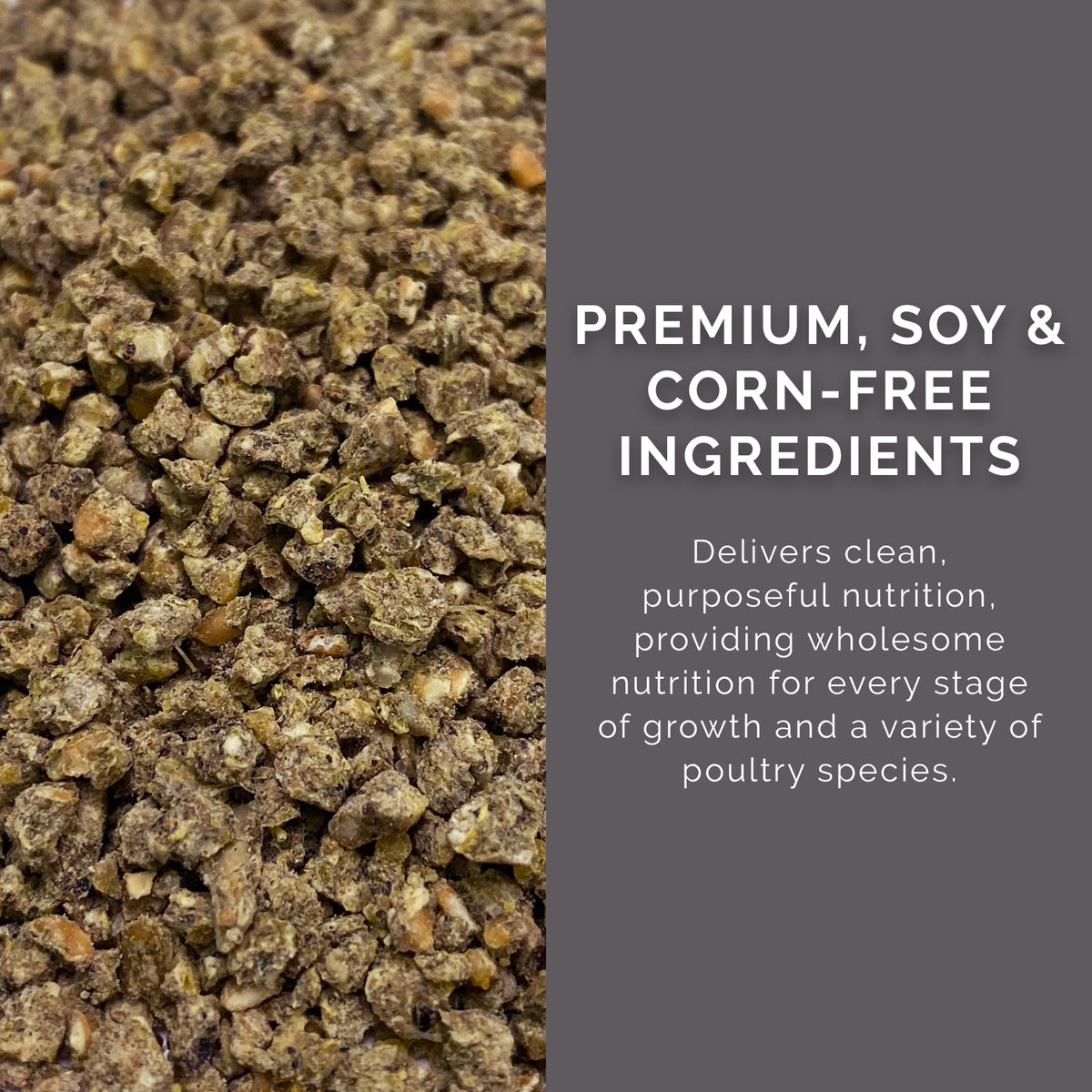Pink Rose Organix Flock Grower Crumb Feed, 25lb