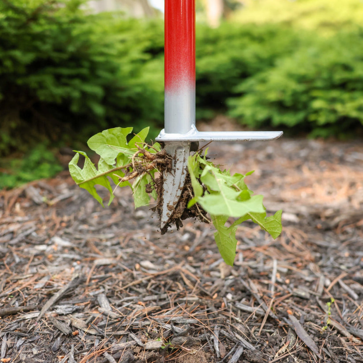 Garden Weasel WeedPopper Spring-Loaded Weed Puller Tool, 38"