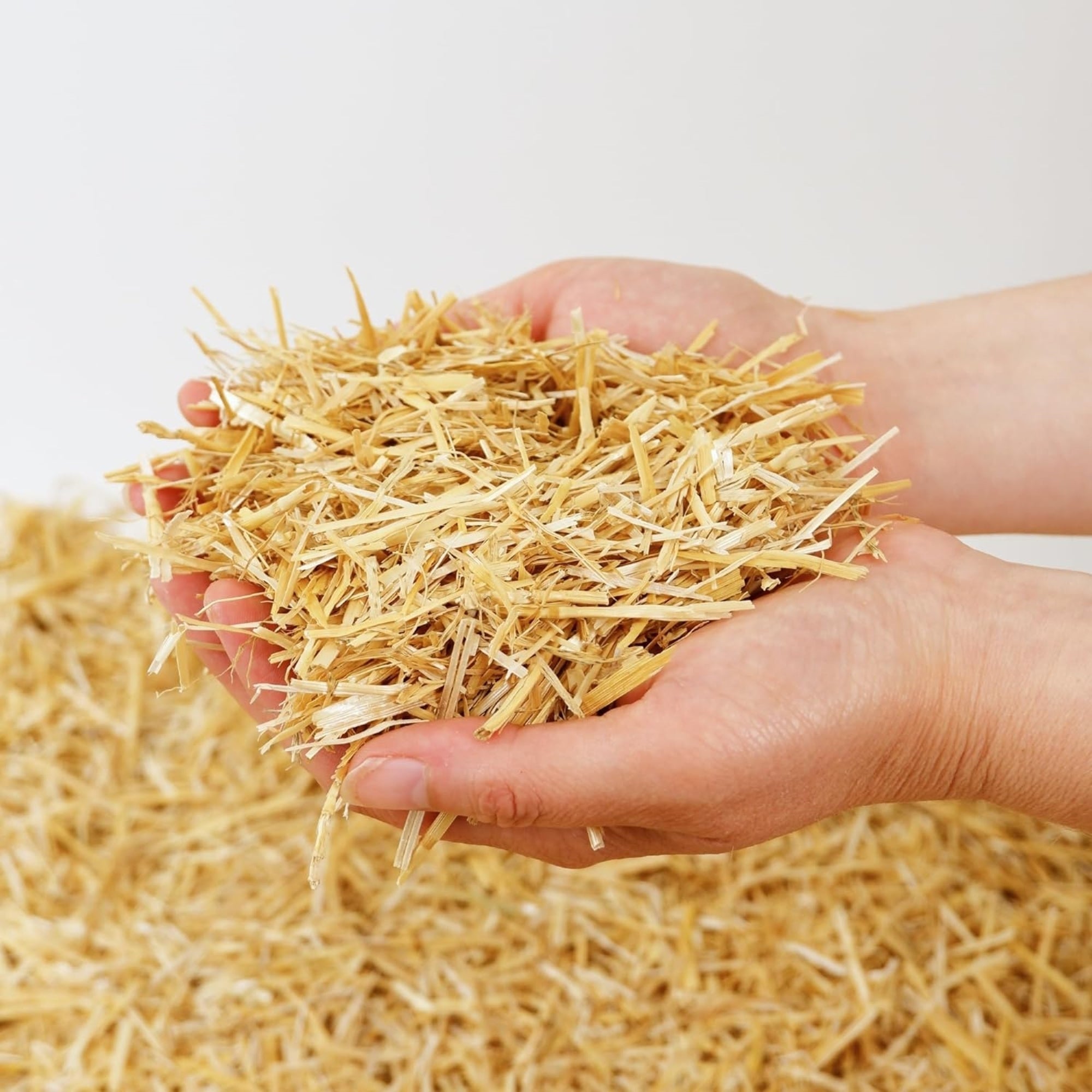 HealthiStraw PetStraw Mini, All-Natural Dust-Free Compostable 100% Sustainably Sourced Wheat Straw Bedding, 38 L