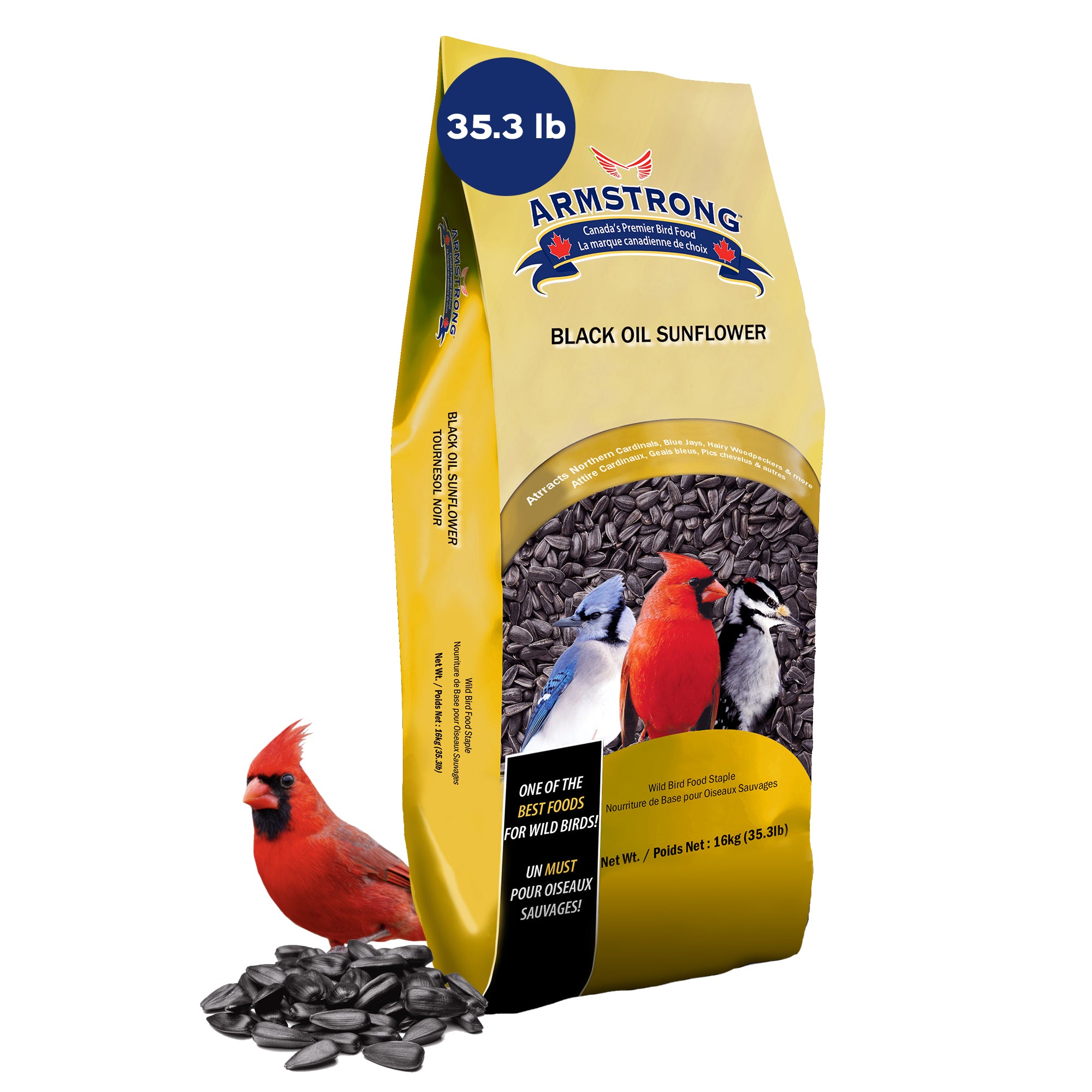 Armstrong Wild Bird Food Black Oil Sunflower Seed