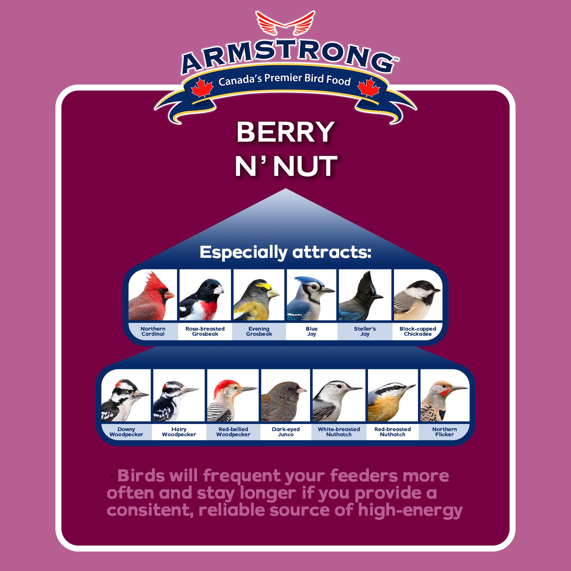 Armstrong Wild Bird Food Berry N' Nut Suet Blend, 11.3oz (Pack of 12)
