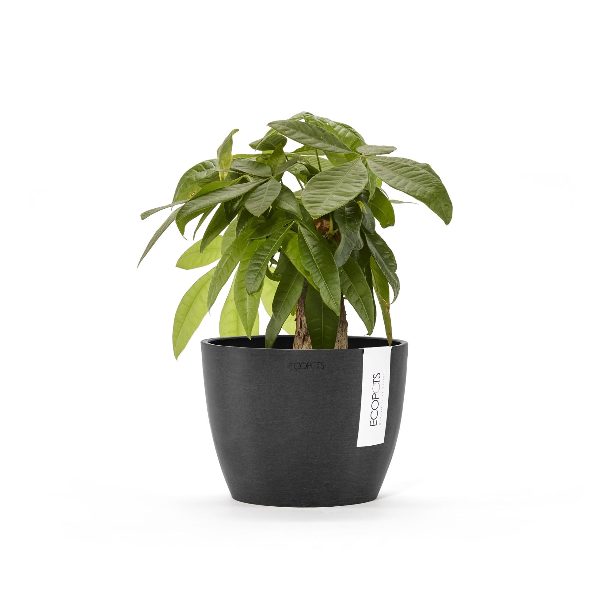 Ecopots Stockholm Mini Durable Modern Round Indoor/Outdoor Recycled-Based Composite Flower Pot Planter, 6"