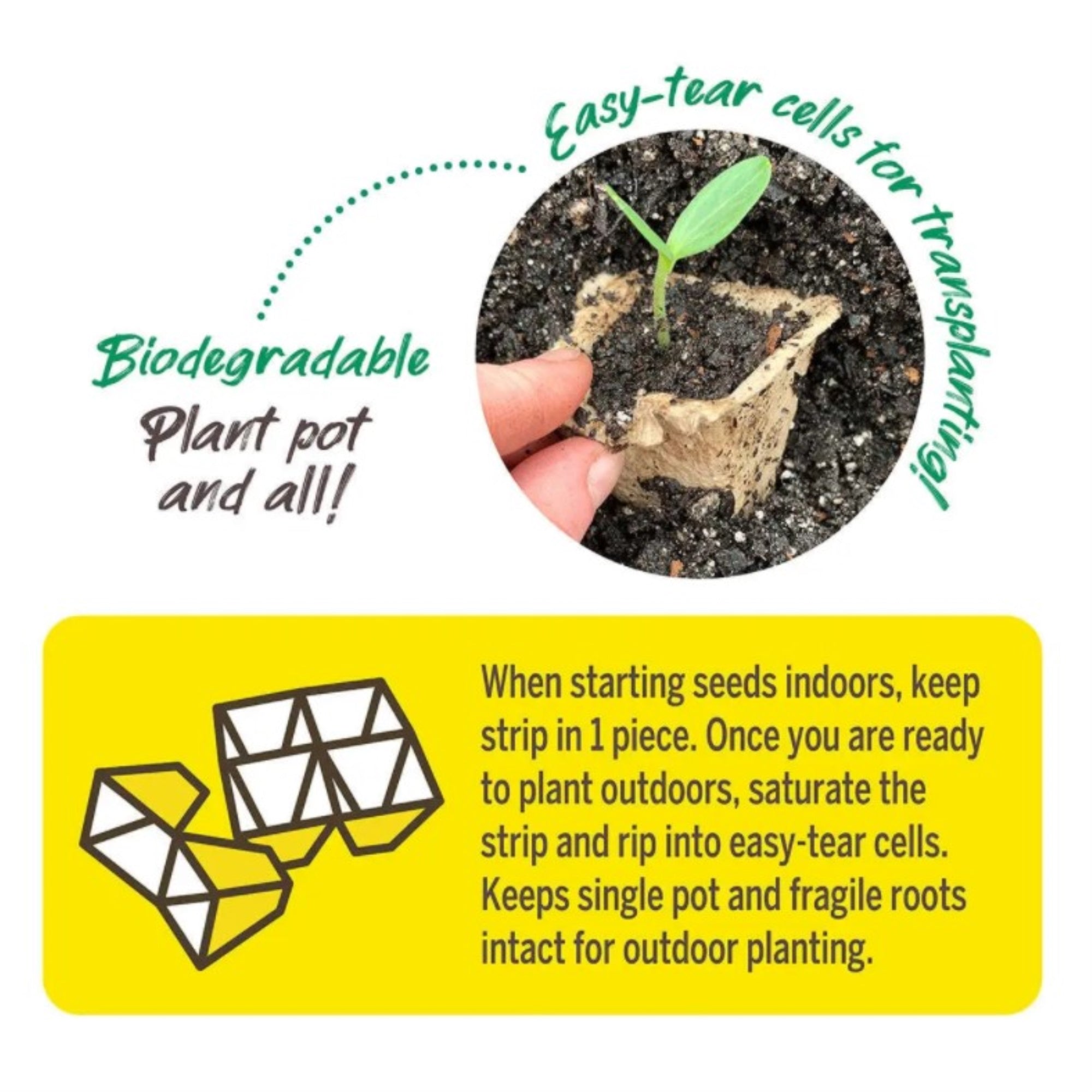 Jiffy Biodegradable Seed Starting Jiffy-Strips, 50 Organic Peat Cells