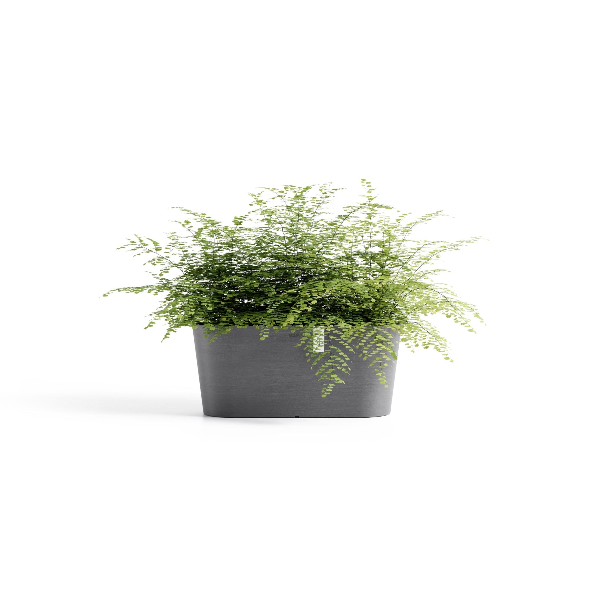 Ecopots Tokyo Durable Modern Oval Indoor/Outdoor Recycled-Based Composite Flower Pot Planter w/ Water Reservoir