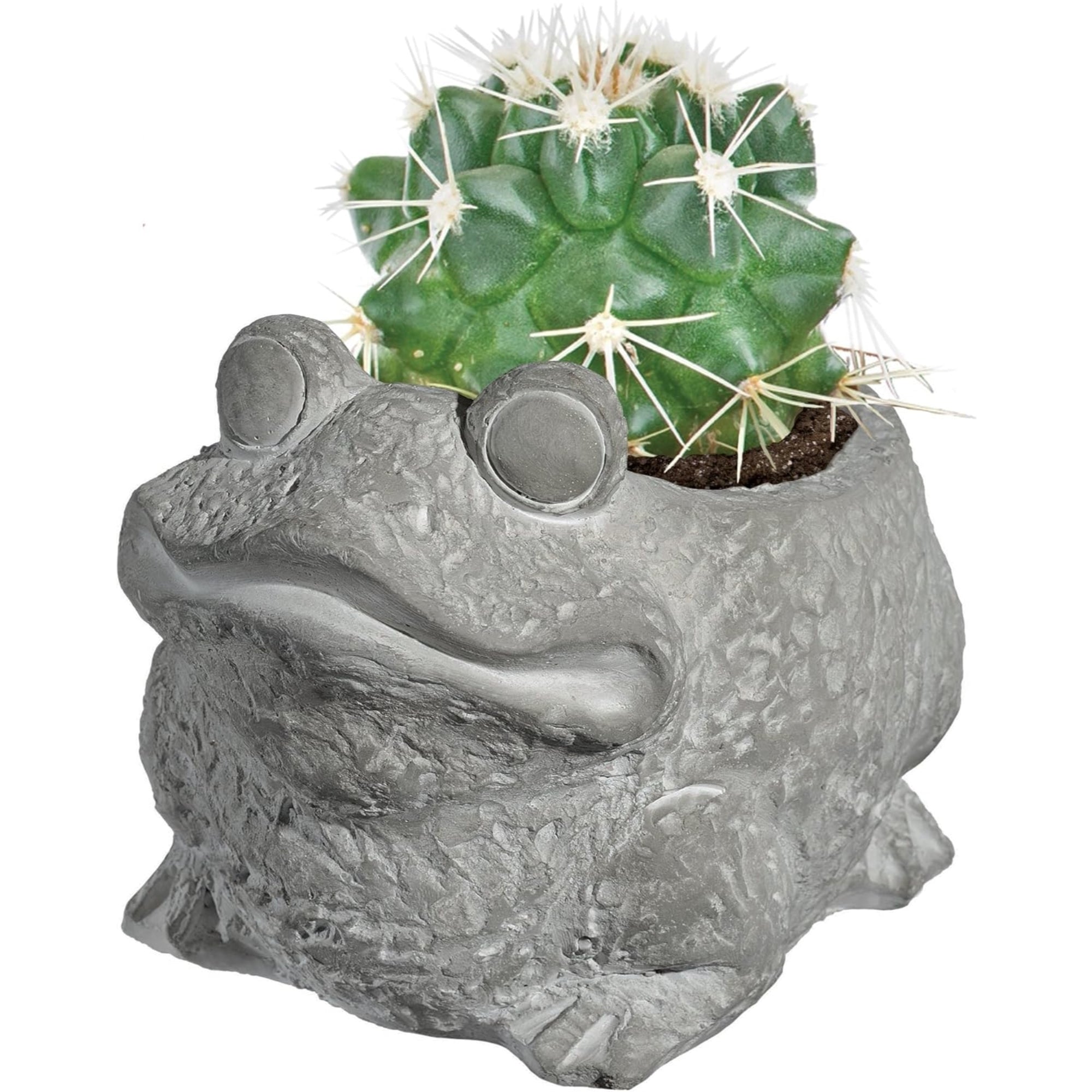 Classic Home and Garden Cement Buddies Indoor/Outdoor Planter with Drainage Hole, Frog