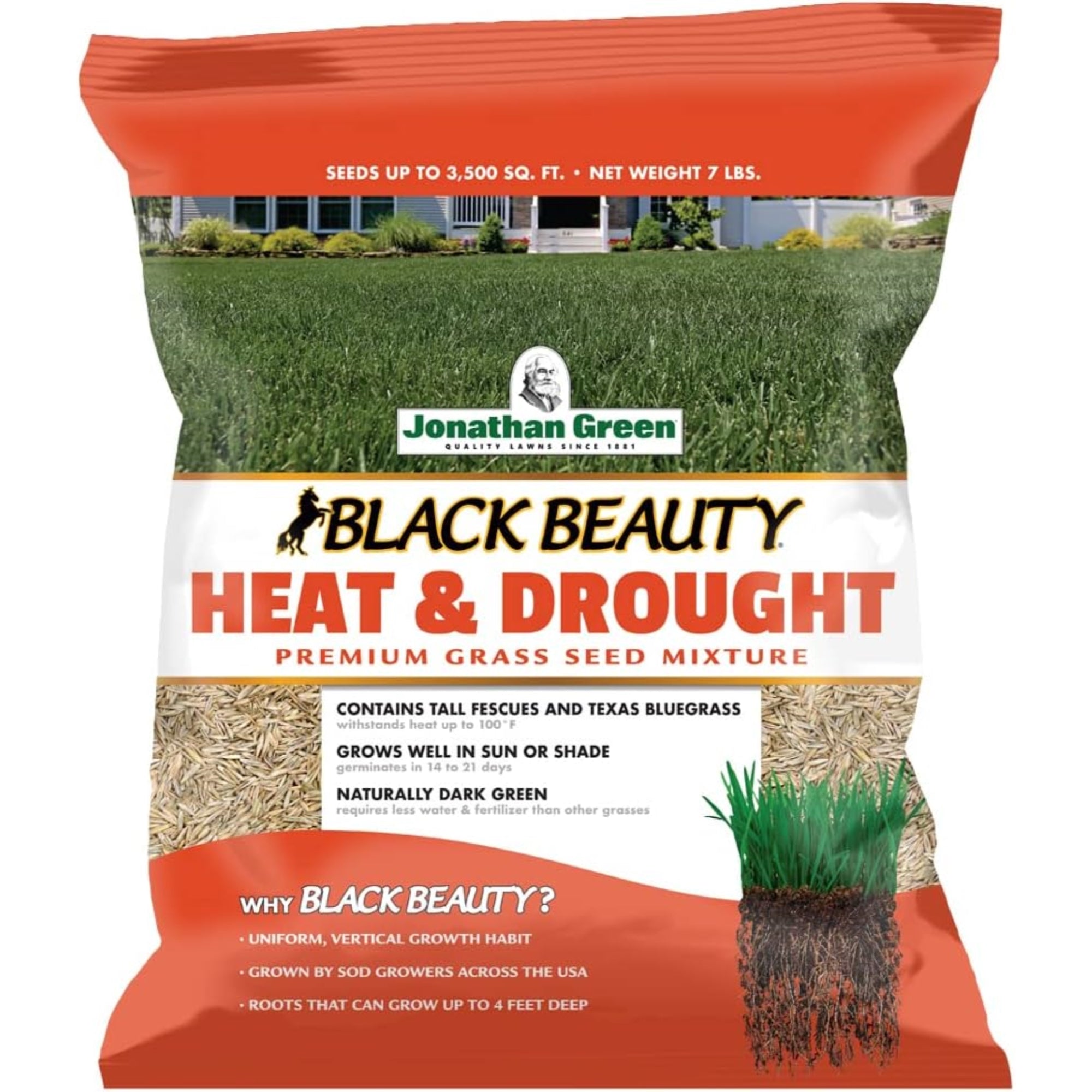 Jonathan Green Black Beauty Heat & Drought Resistant Grass Seed Mix