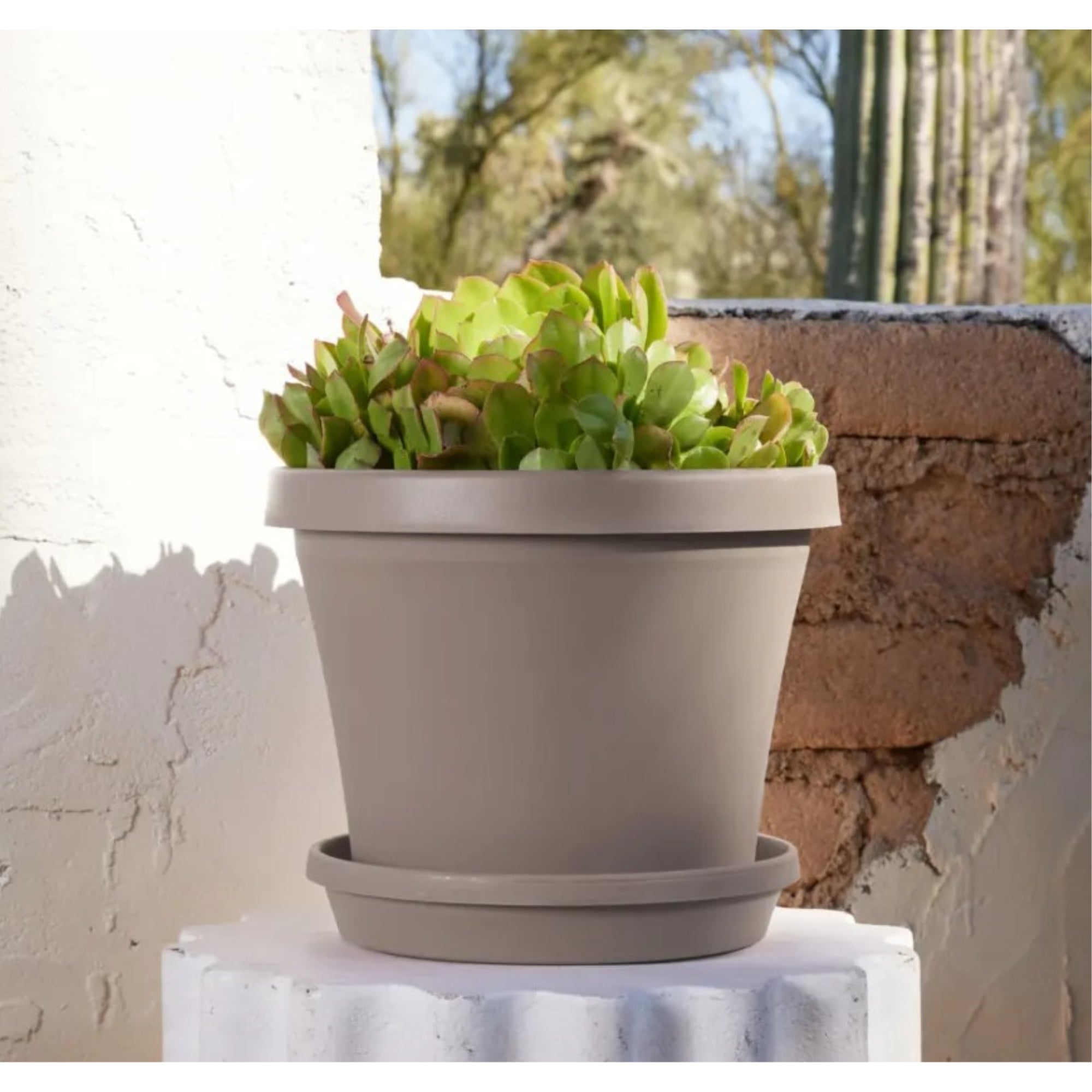 Bloem Terra Plastic In/Outdoor Flower Pot Planter, Pebble Stone Color