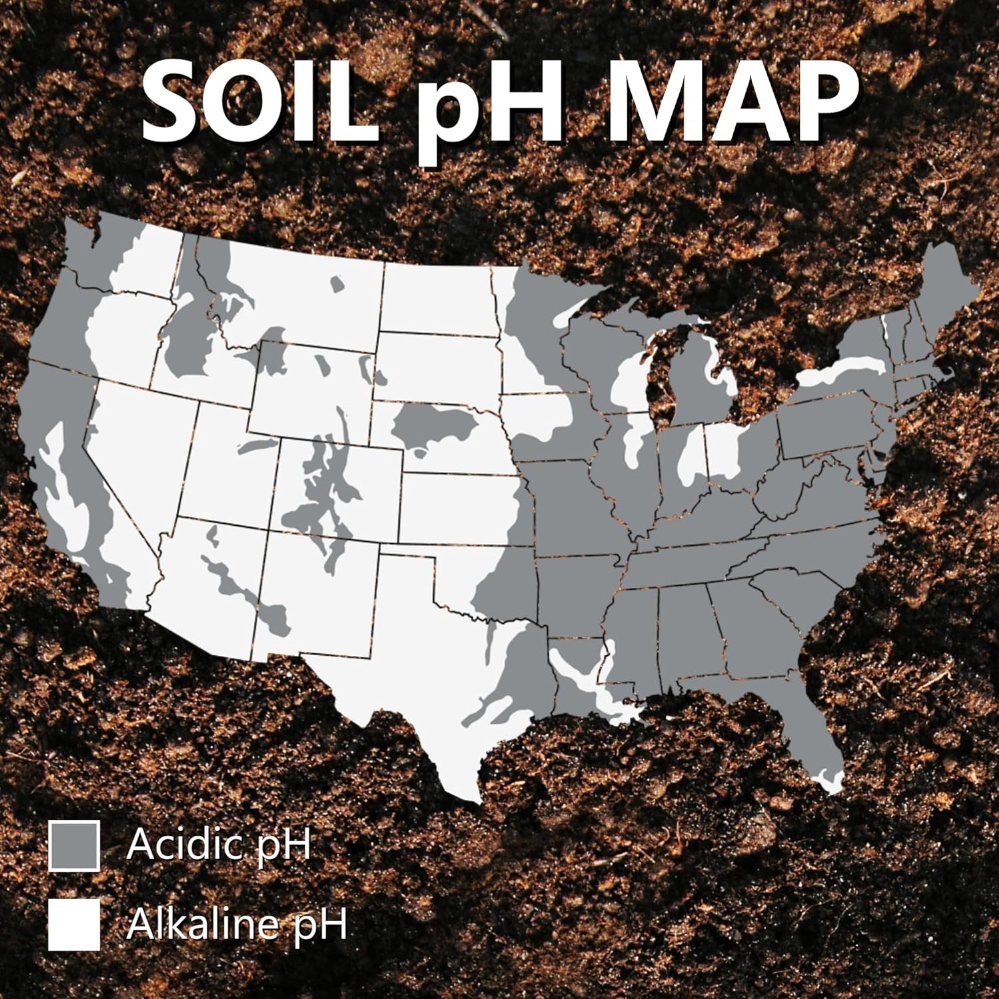 Jonathan Green MAG-I-CAL Natural Soil Food for Lawns in Acidic Soils