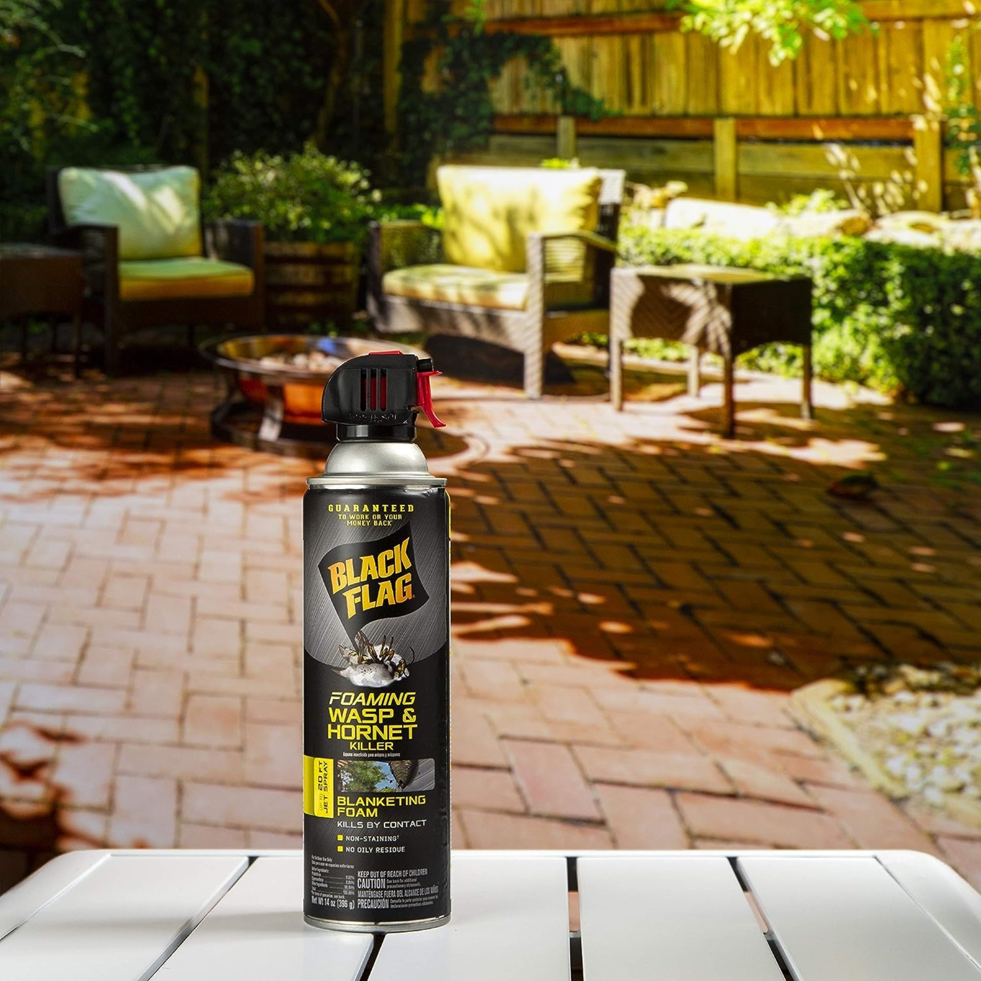 Black Flag Foaming Wasp & Hornet Killer, Kills Wasps and Hornets Nests By Contact, 14 Ounce (Aerosol Spray)