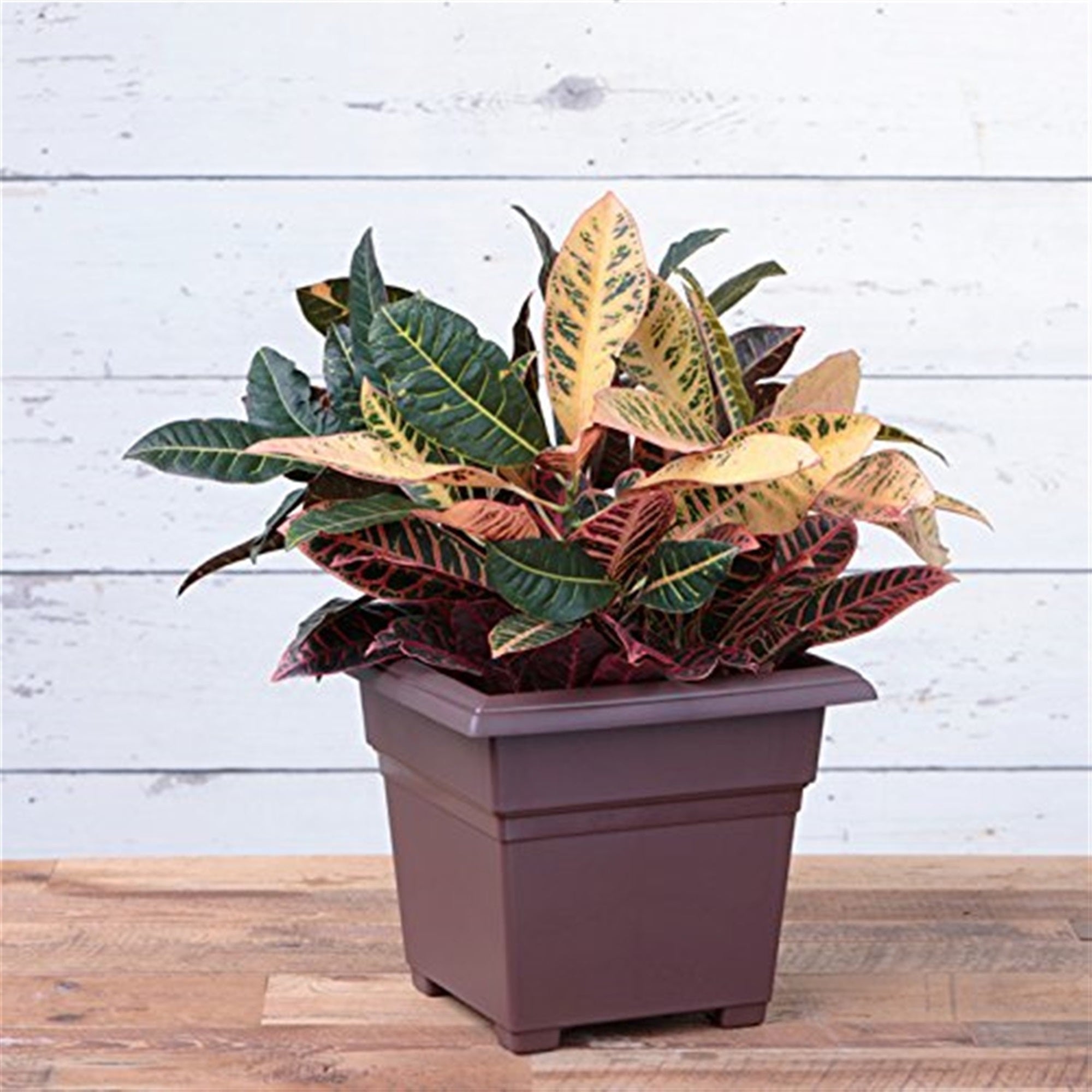 Novelty Countryside Square Tub Planter, Brown, 14 Inch