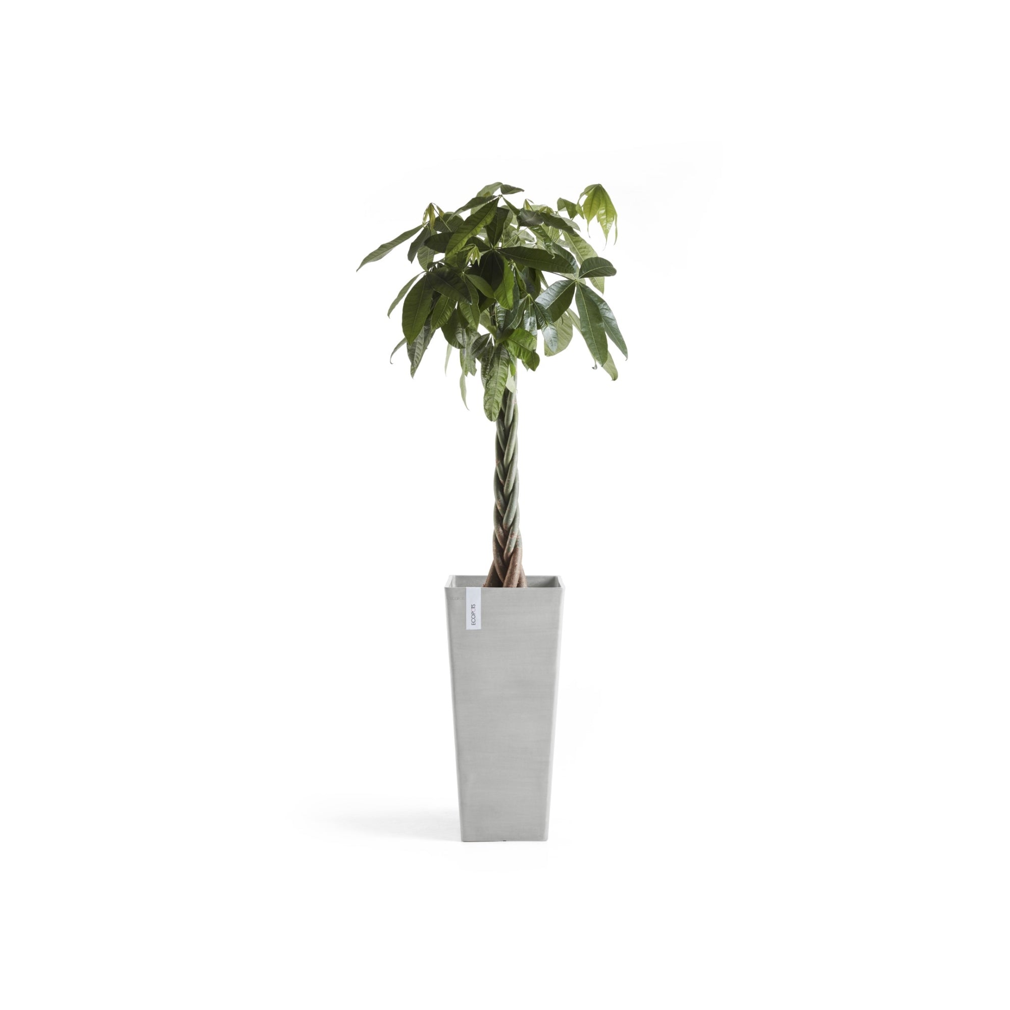 Ecopots Rotterdam High Durable Modern Square Indoor/Outdoor Recycled-Based Composite Flower Planter