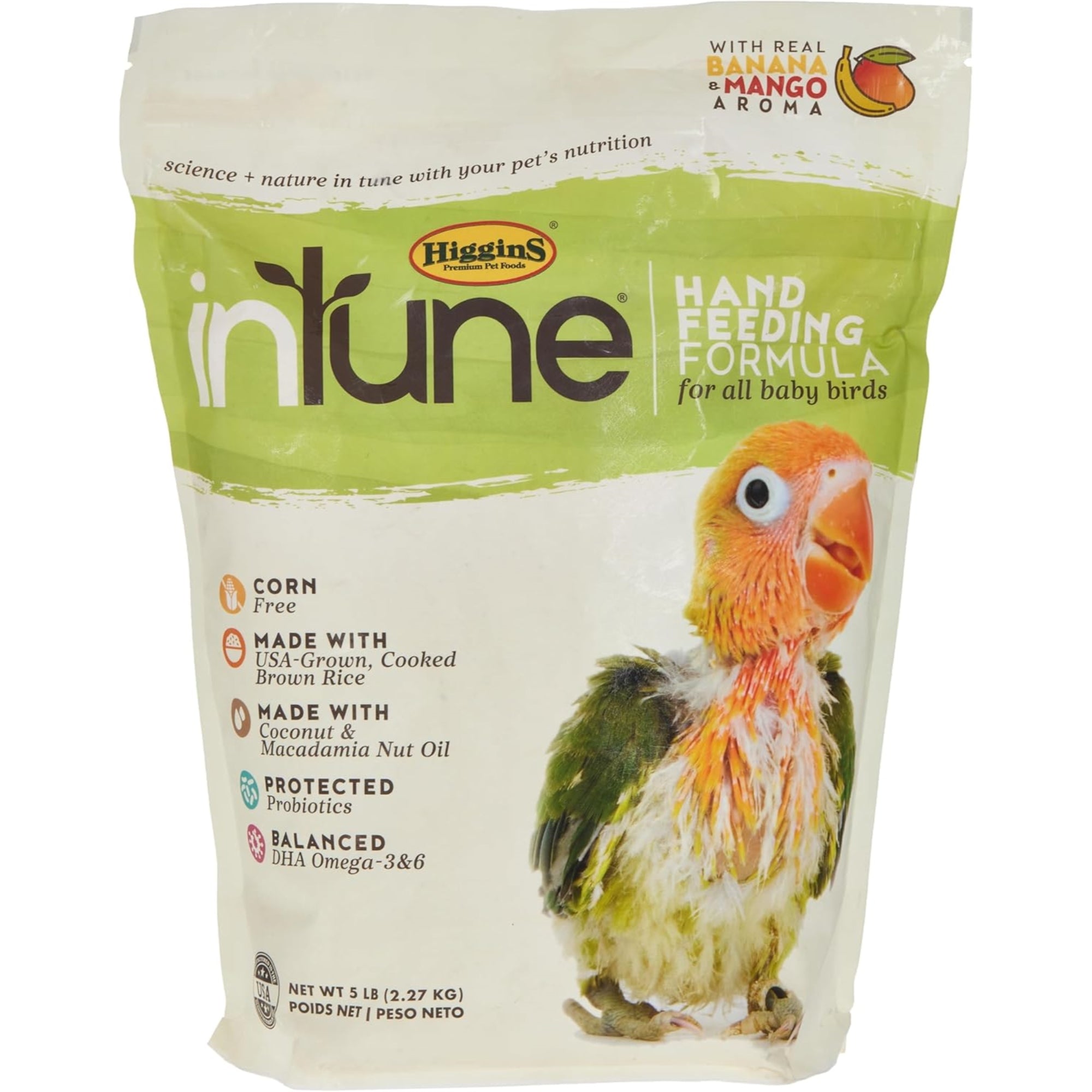 Higgins Intune Natural Hand Feeding Baby Bird Food Formula, 5lb