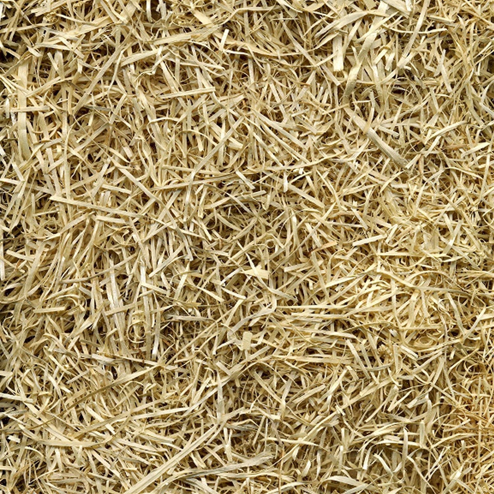 EZ Straw Grass Seed Germination and Erosion Control Blanket, 4ft. x 50ft. (200 sq ft)