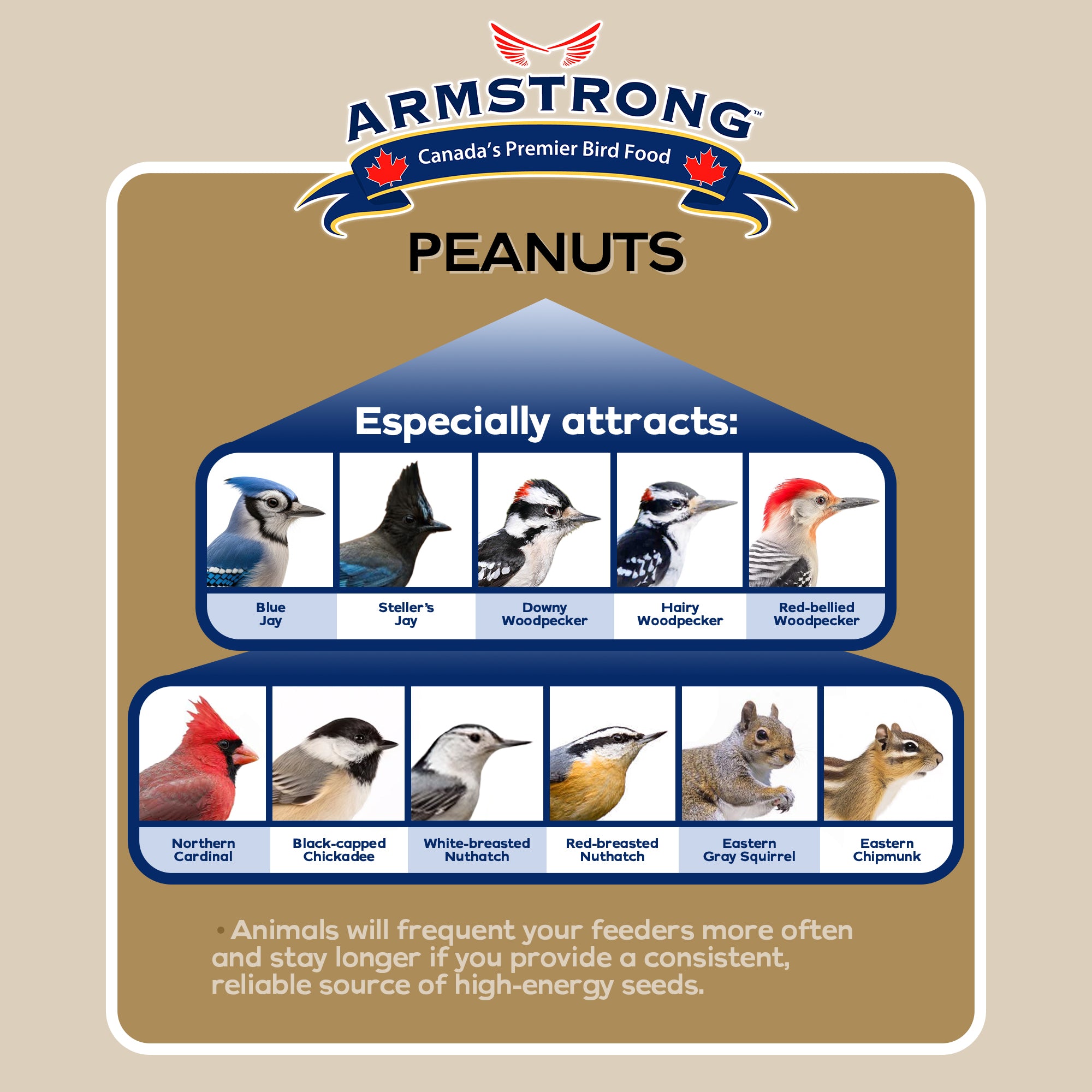 Armstrong Wild Bird Food Peanut Halves