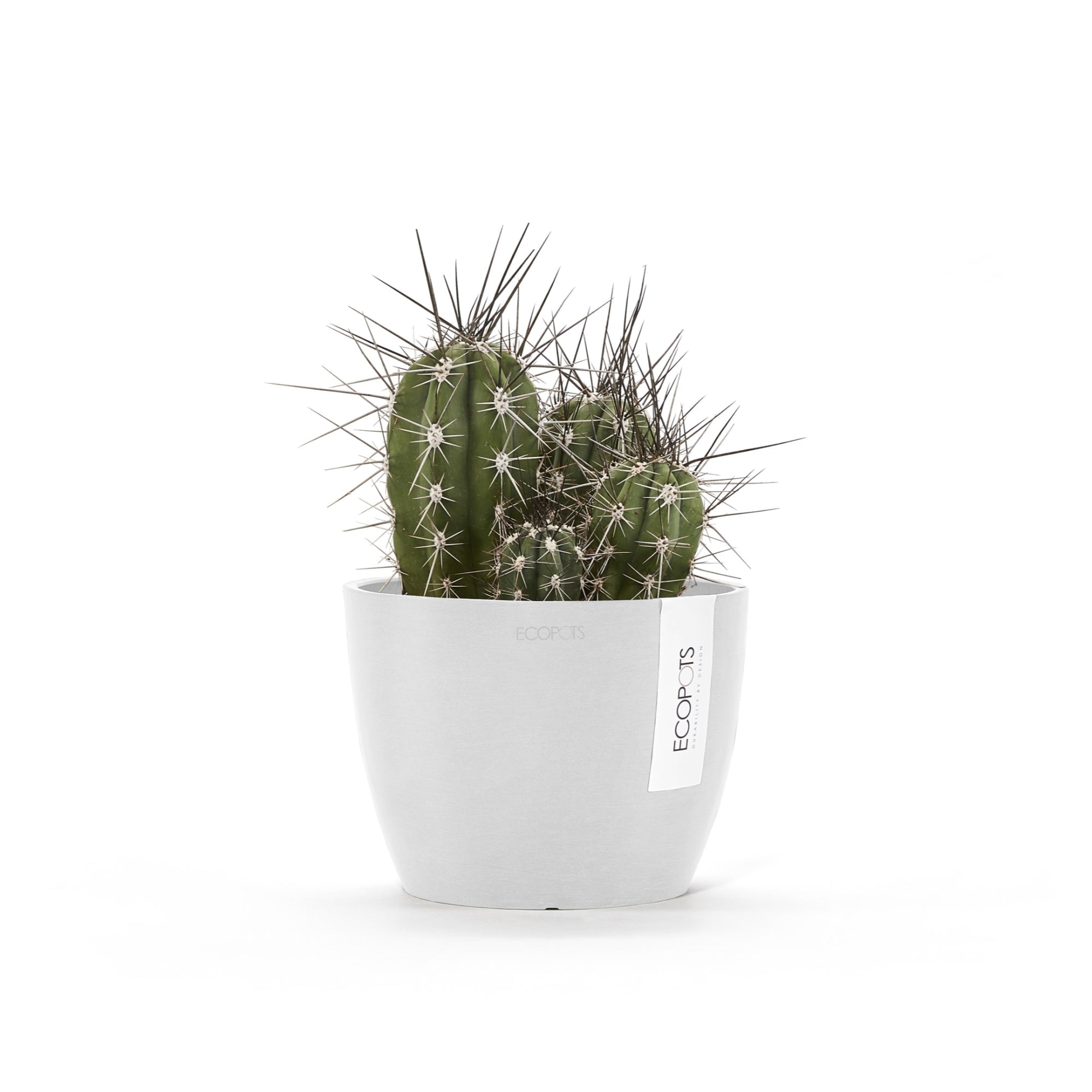Ecopots Stockholm Mini Durable Modern Round Indoor/Outdoor Recycled-Based Composite Flower Pot Planter, 6"