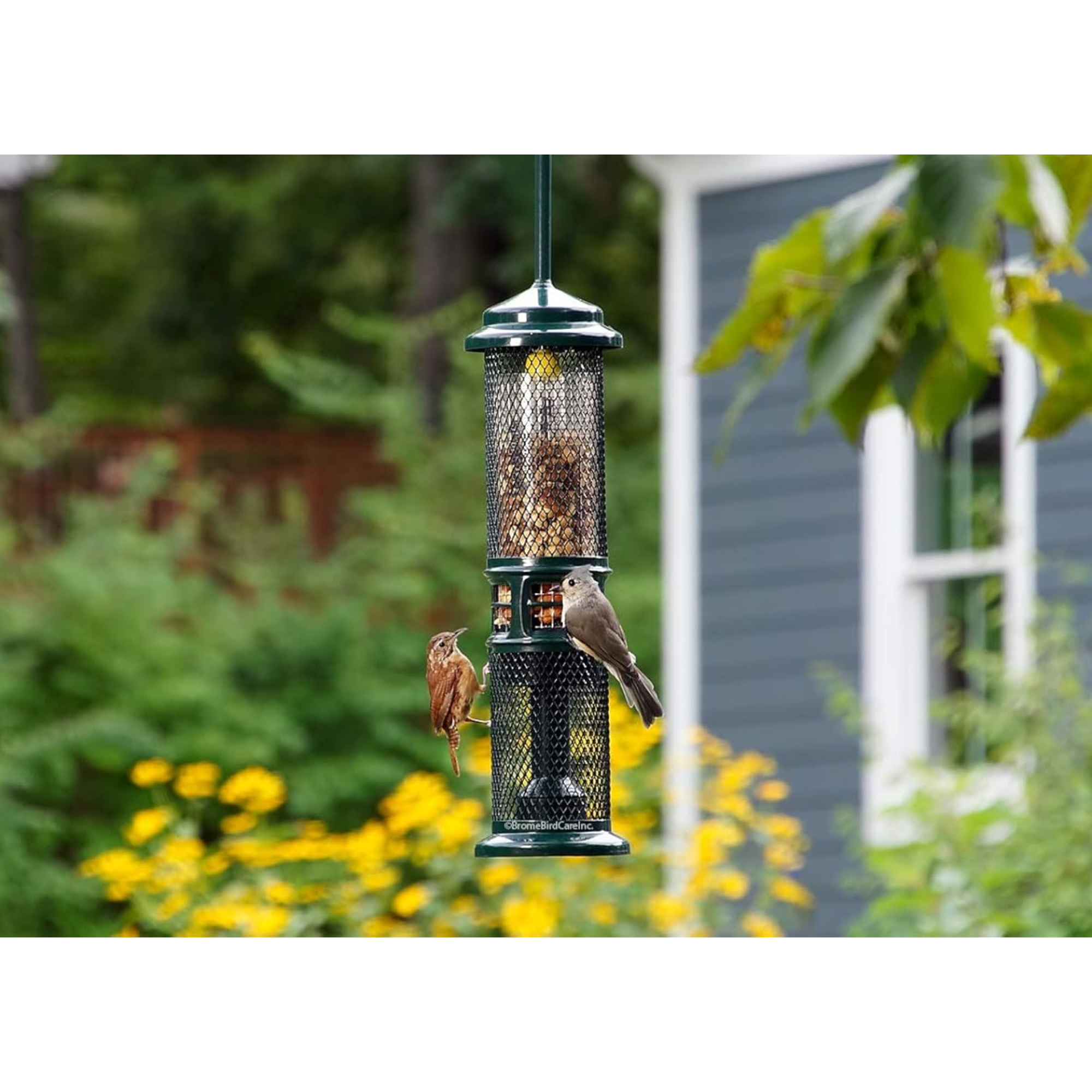 Brome Squirrel Buster Squirrel-Proof Bird Feeder for Nuts