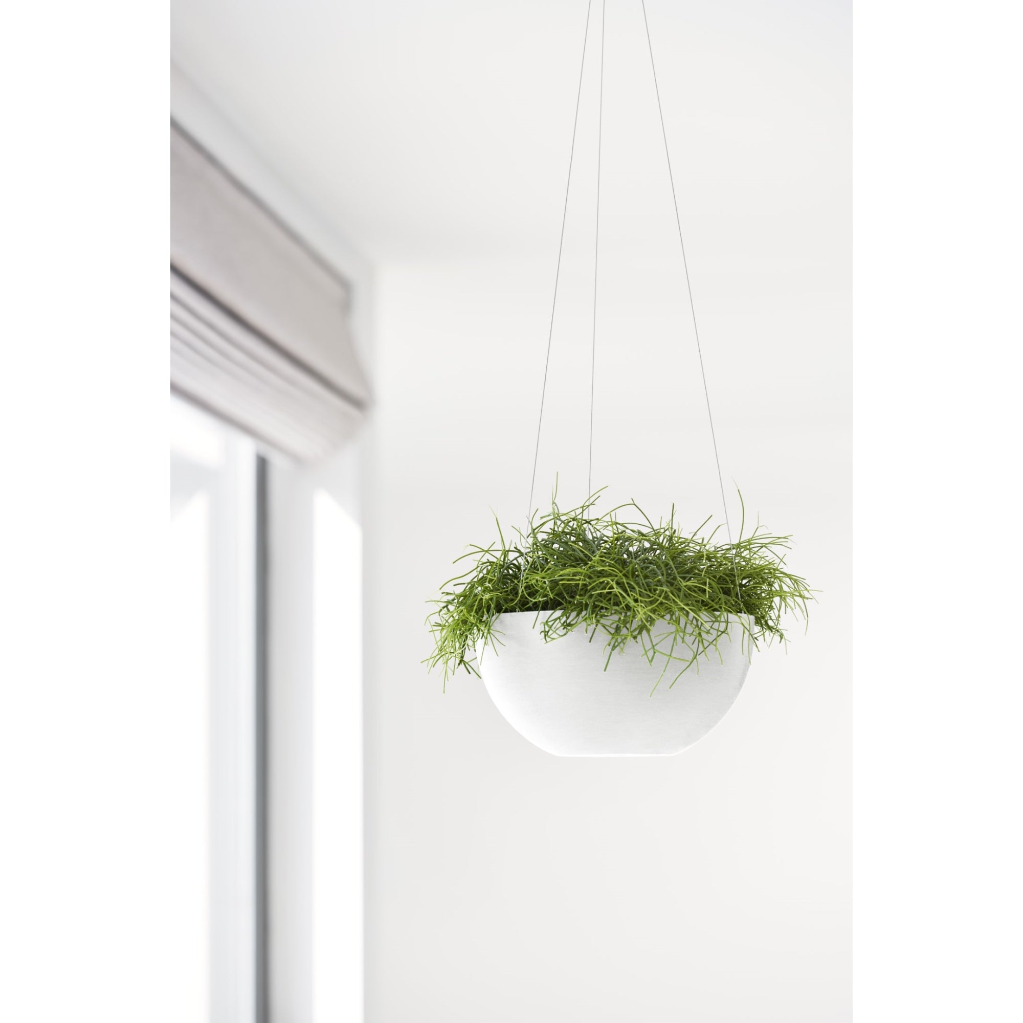 Ecopots Plastic Modern Indoor/Outdoor Round Hanging Brussels Flower Pot Planter