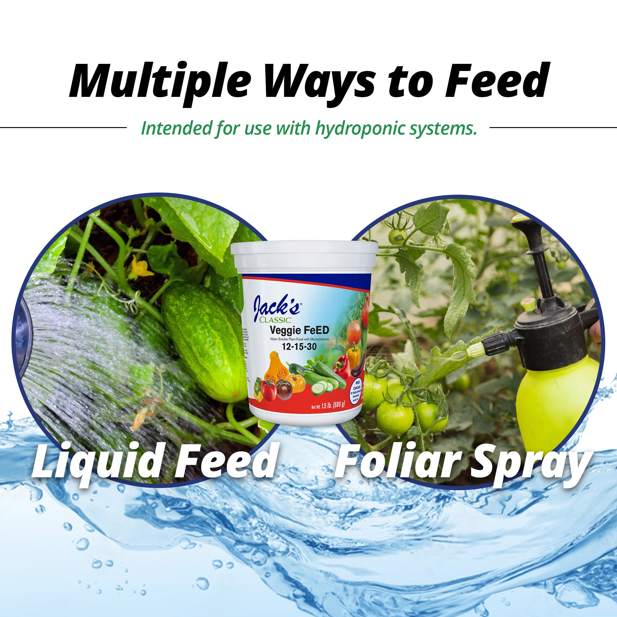 Jack's Classic 12-15-30 Veggie FeED Water-Soluble Fertilizer with Micronutrients for Plant Growth and Abundant Fruit Set in Blooming Vegetable Plants, 1.5lbs