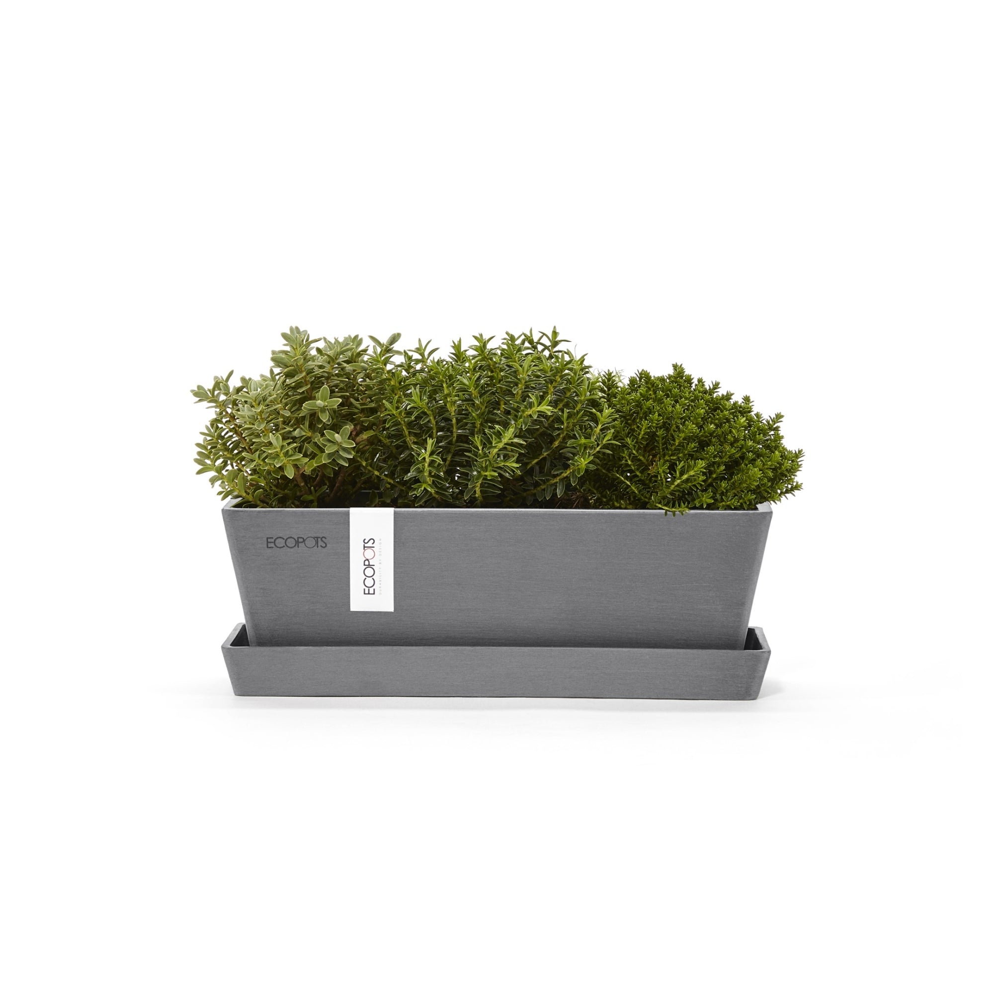 Ecopots Bruges Mini Durable Modern Rectangular Indoor/Outdoor Recycled-Based Composite Flower Pot Planter with Saucer
