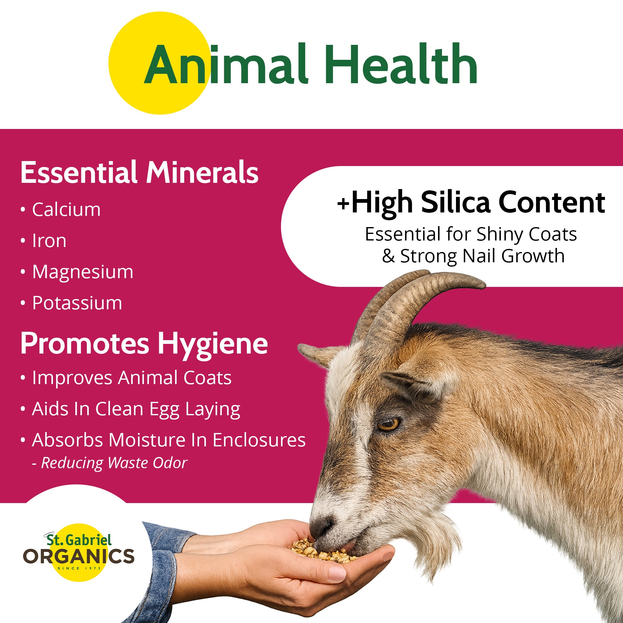 St. Gabriel Organics GoodEarth Food-Grade Anti-Caking Diatomaceous Earth