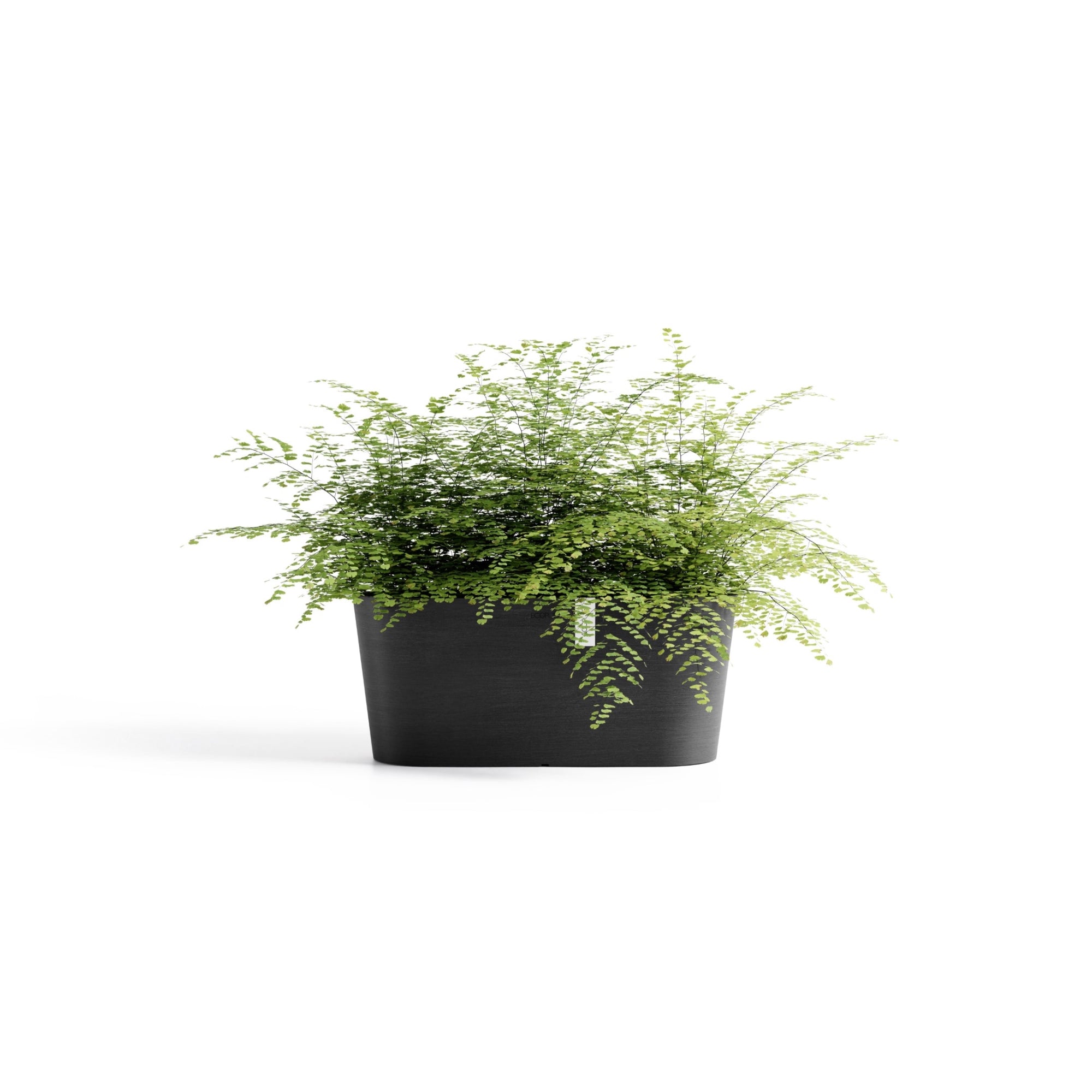 Ecopots Tokyo Durable Modern Oval Indoor/Outdoor Recycled-Based Composite Flower Pot Planter w/ Water Reservoir