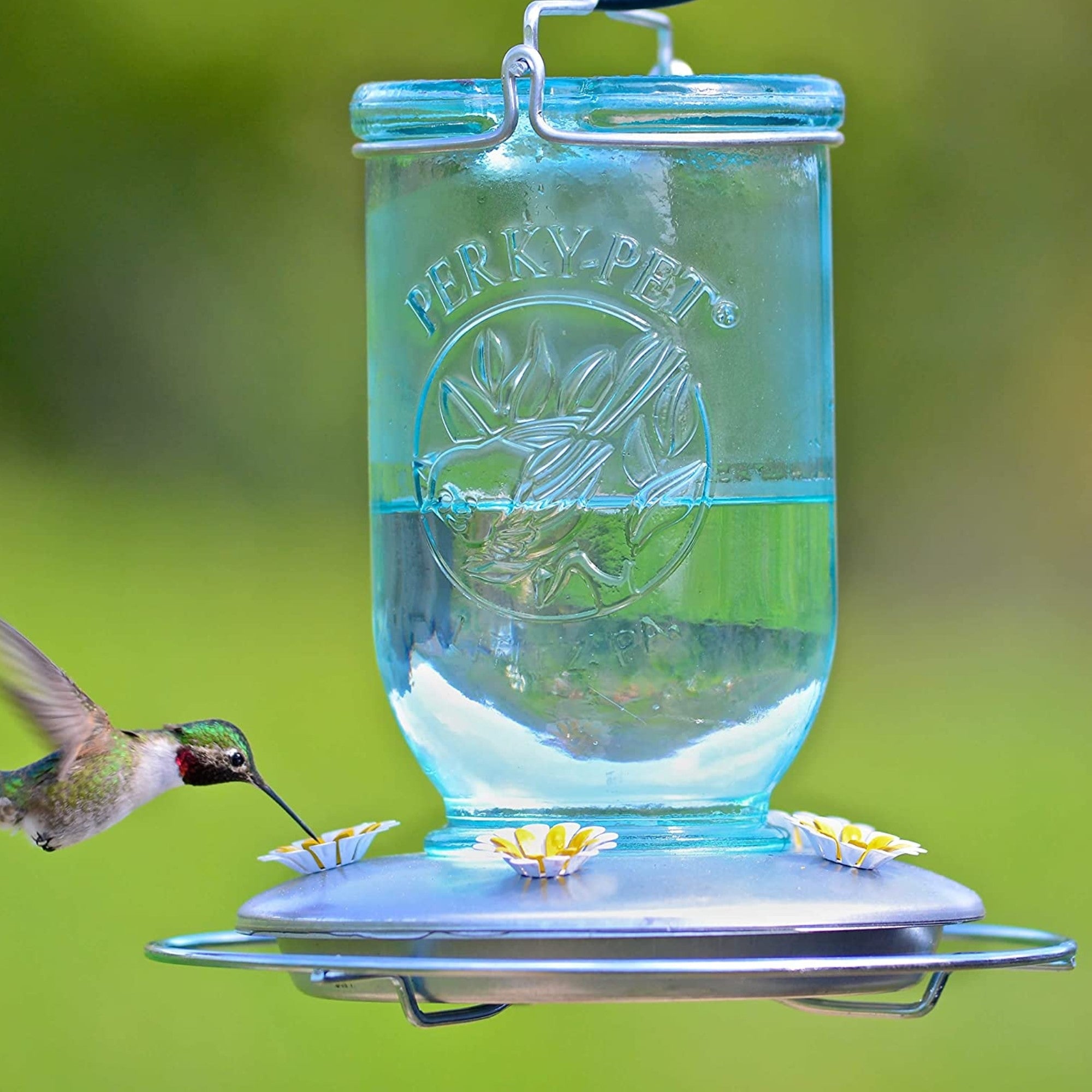 Perky Pet Blue Mason Jar Hummingbird Feeder, 32 oz Capacity