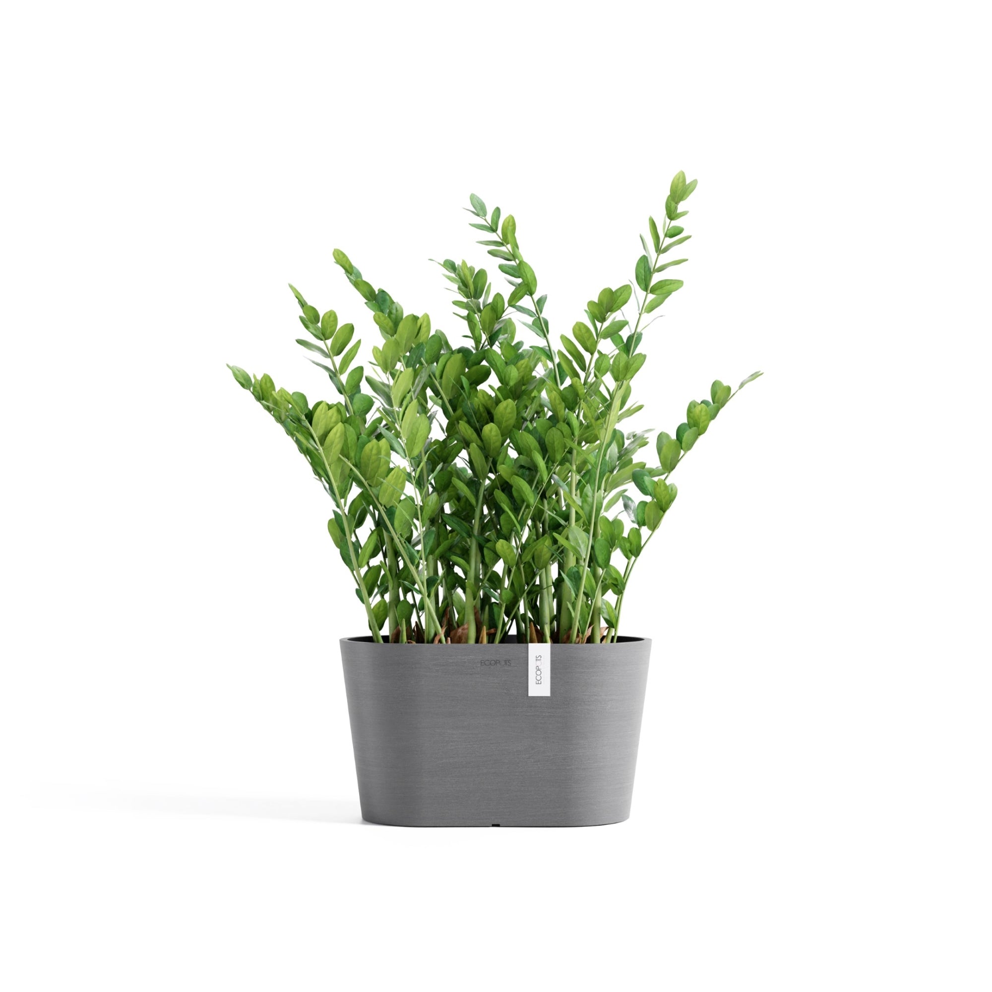 Ecopots Tokyo Durable Modern Oval Indoor/Outdoor Recycled-Based Composite Flower Pot Planter w/ Water Reservoir
