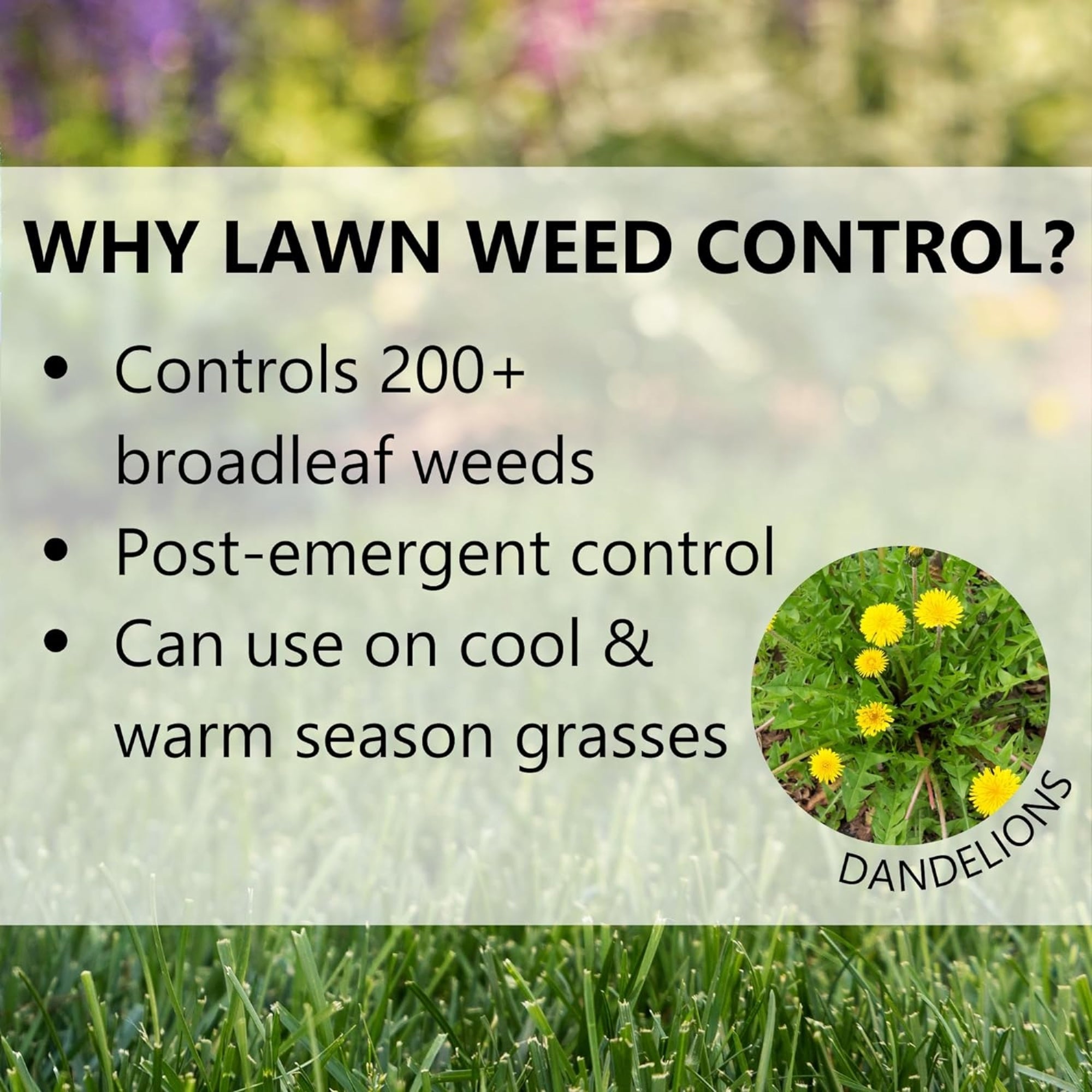 Jonathan Green Lawn Weed Control, Broadleaf Weed Control