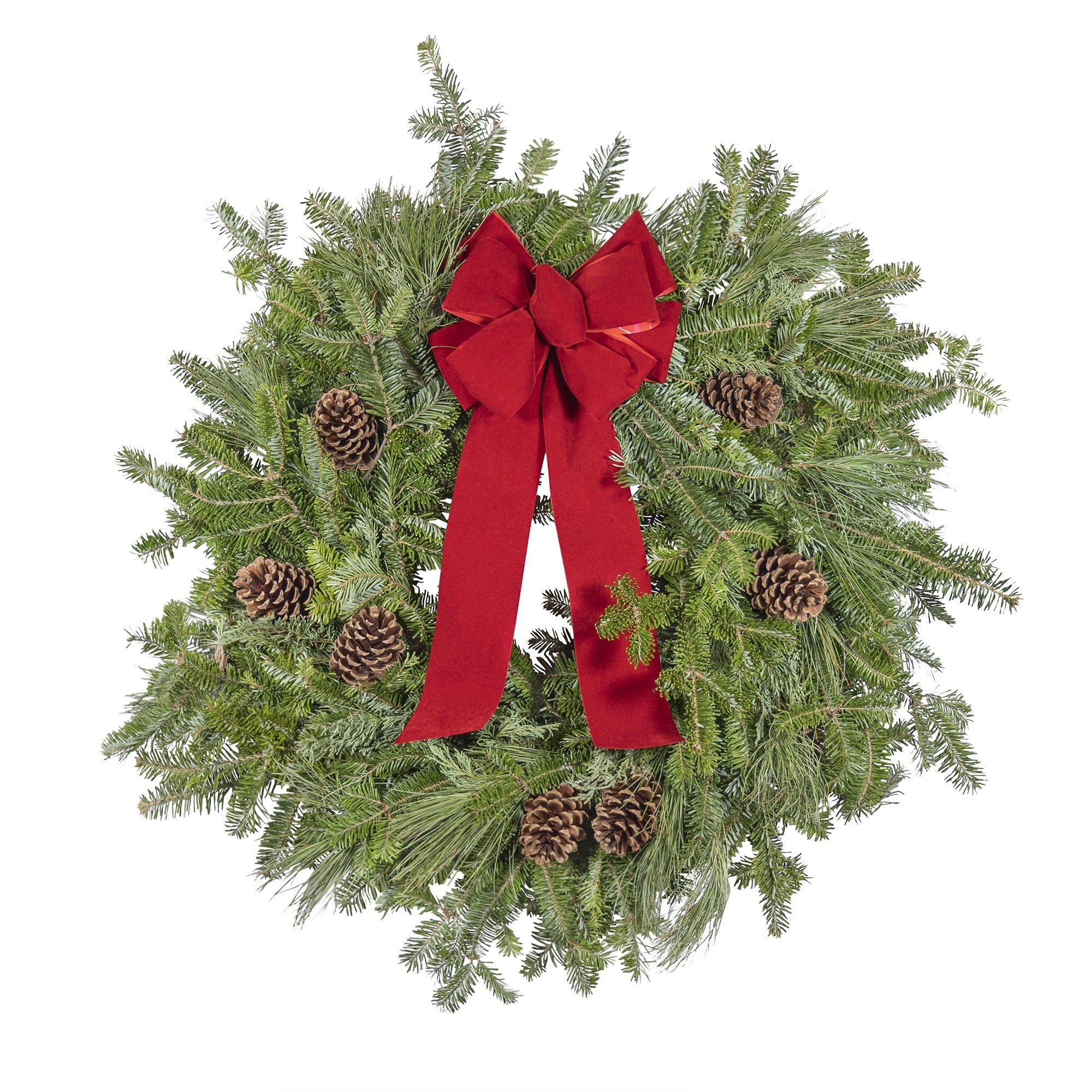 Garden Elements Fresh Handmade Christmas Holiday Live Evergreen Wreath, Fraser Fir with Pine Cones and Red Bow, 22”