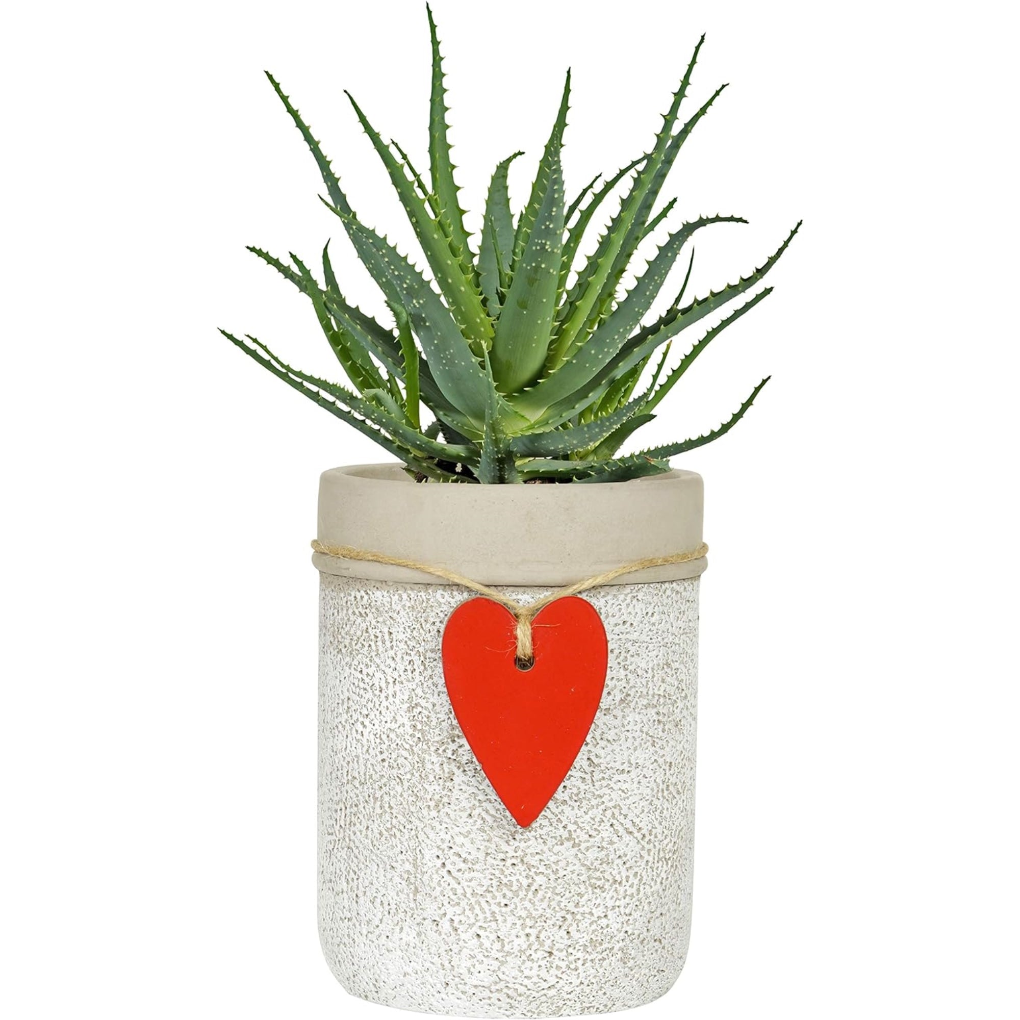 Classic Home and Garden Indoor or Outdoor Cement Heart Pot Planter, Whitewash