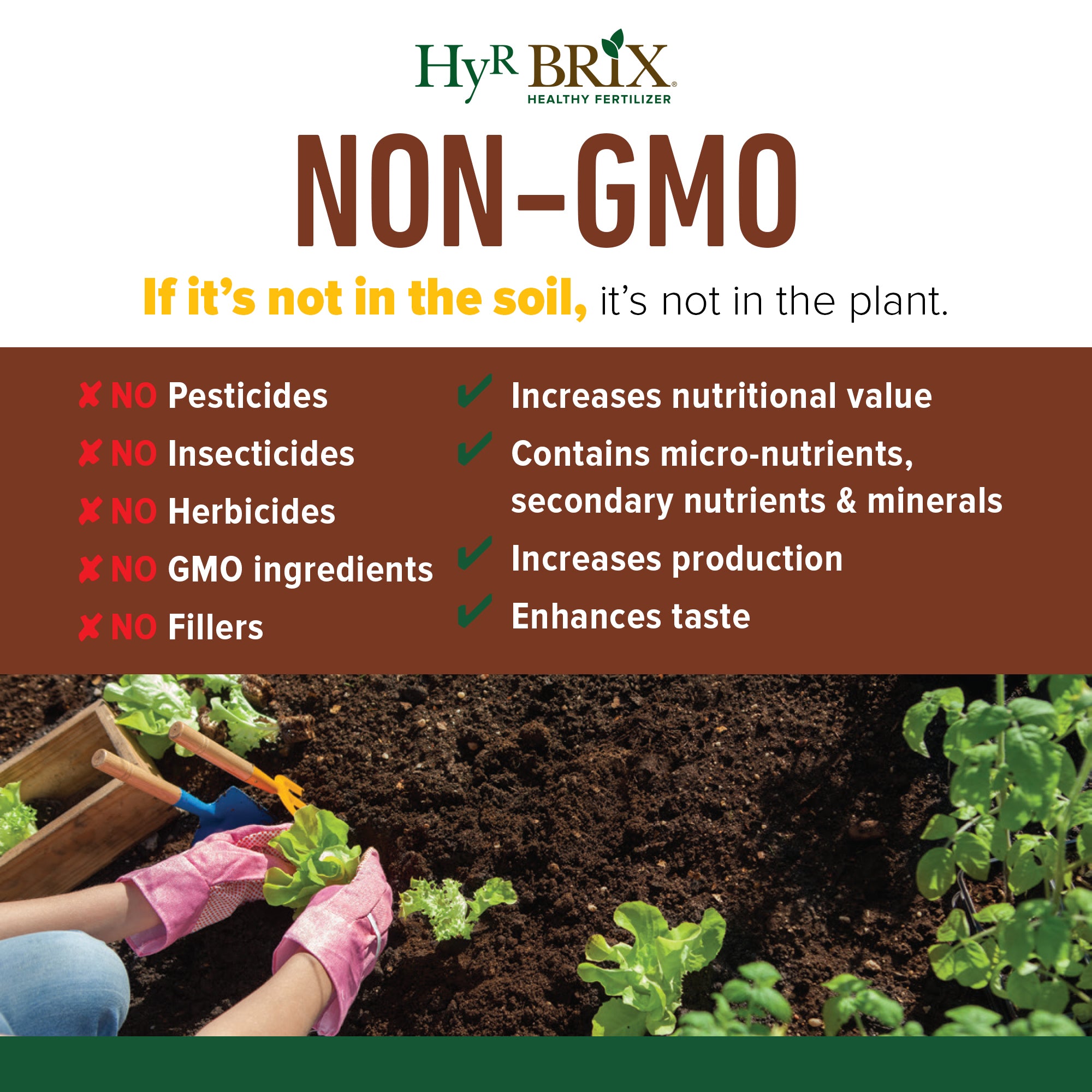 HyR BRIX All Natural & Organic 1-1-8 Vegetable Garden Fertilizer
