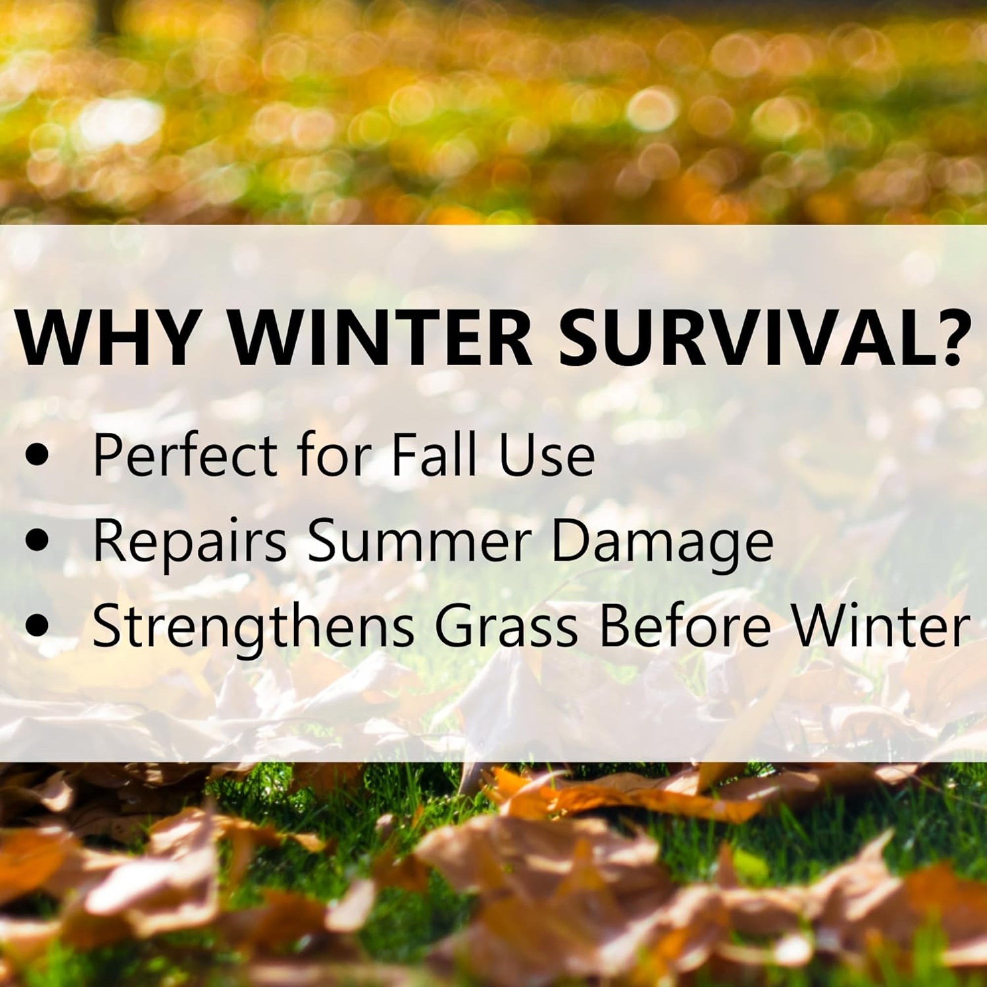 Jonathan Green Winter Survival Fall Lawn Fertilizer