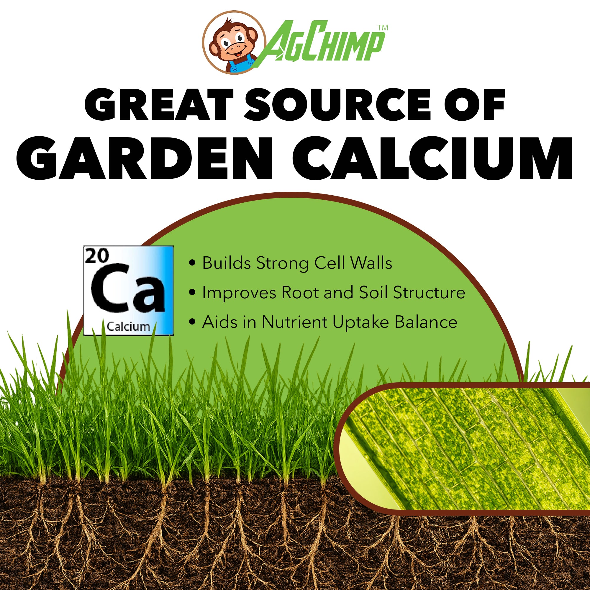 AgChimp PunchCa RTU Lawn Calcium Supplement & Conditioner for Compact Soil, 1qt