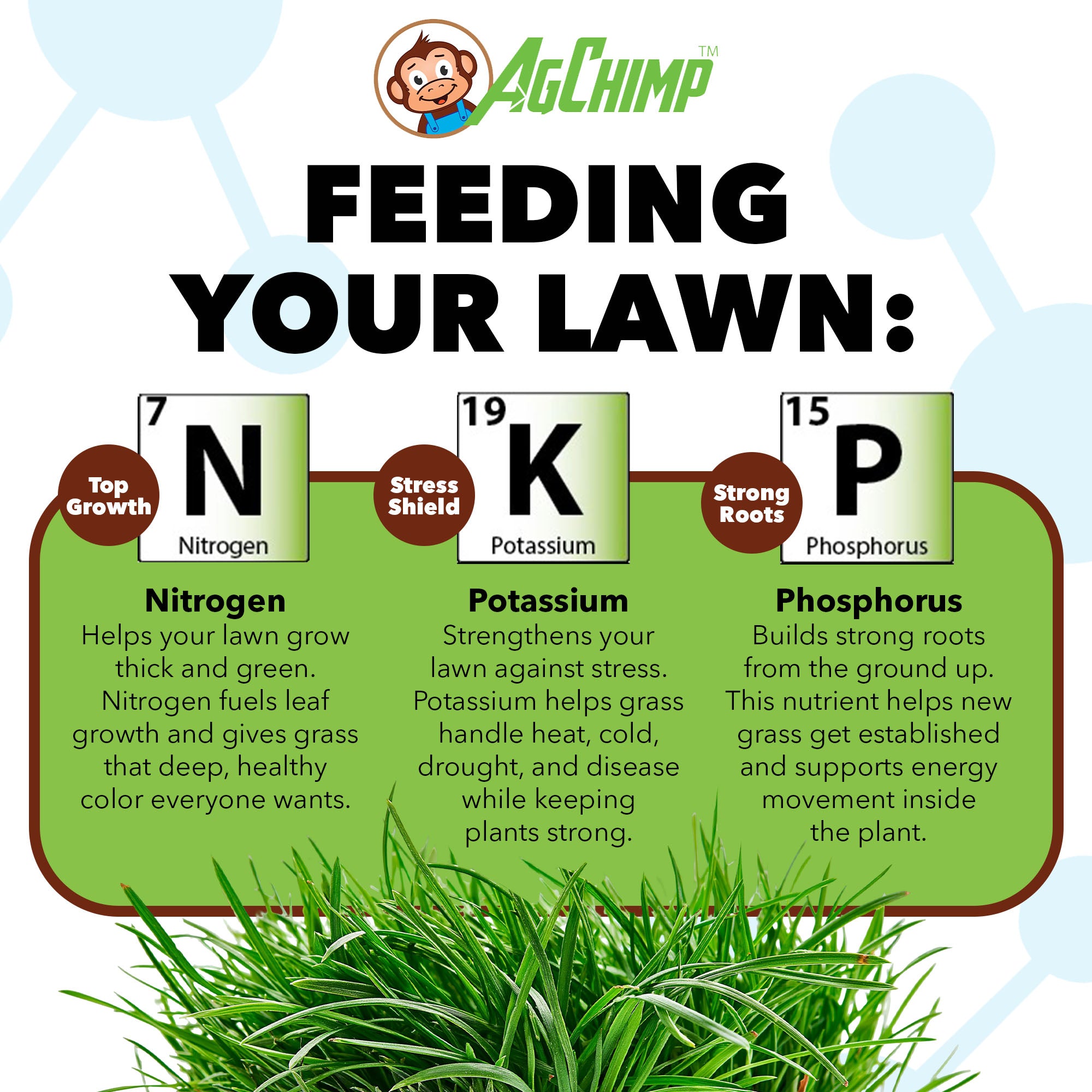 AgChimp RxComplete 14-3-5 Bio-Active Liquid Lawn Fertilizer, 1qt