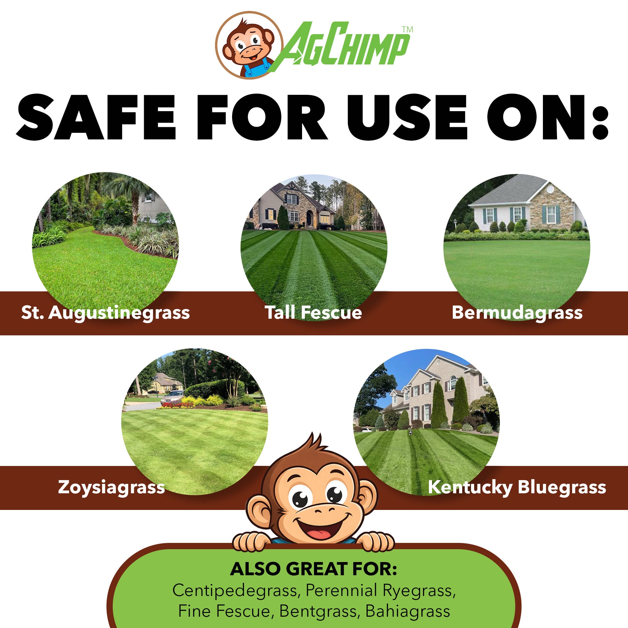 AgChimp RxComplete 14-3-5 Bio-Active Liquid Lawn Fertilizer, 1qt
