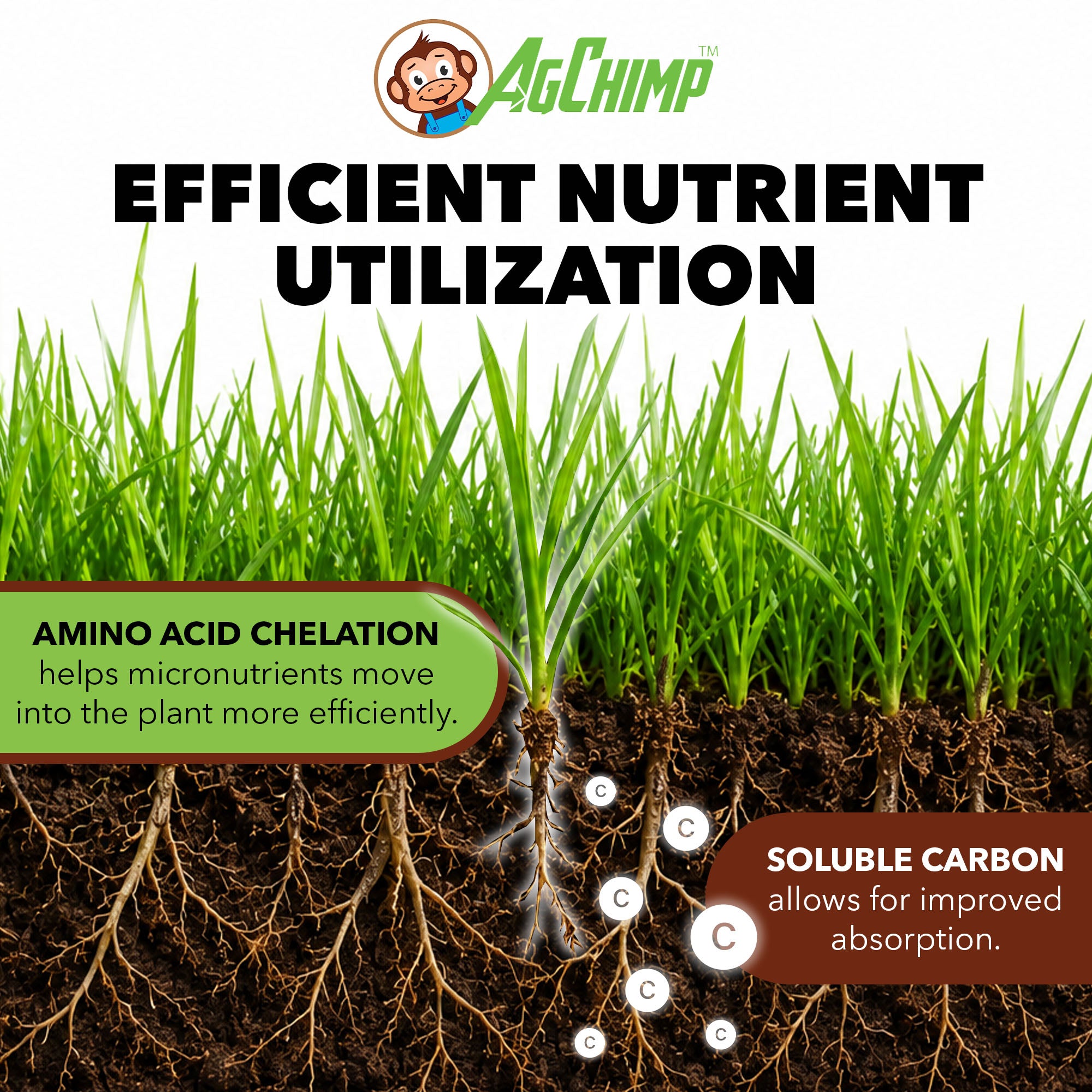 AgChimp JuiceRx Ready-to-Use Liquid Micronutrient Supplement for Lawns, 1qt